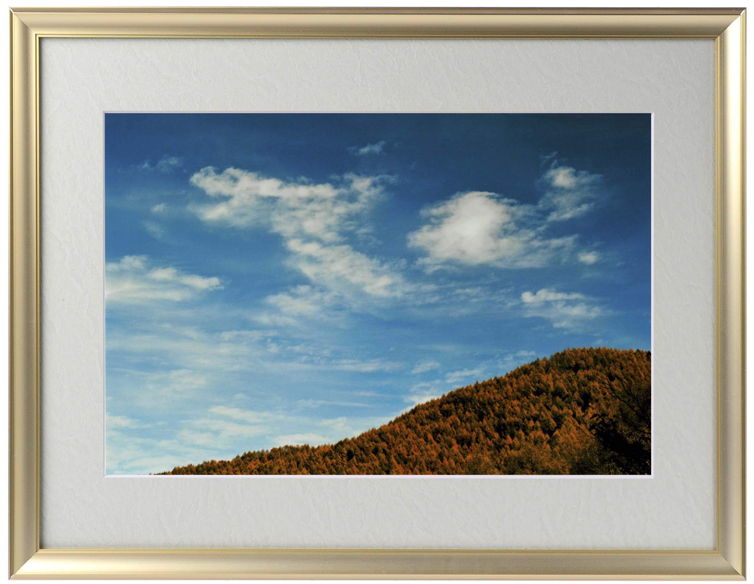 秋元 隆良『奇跡の写真 ~飛龍(ひりゅう)~』