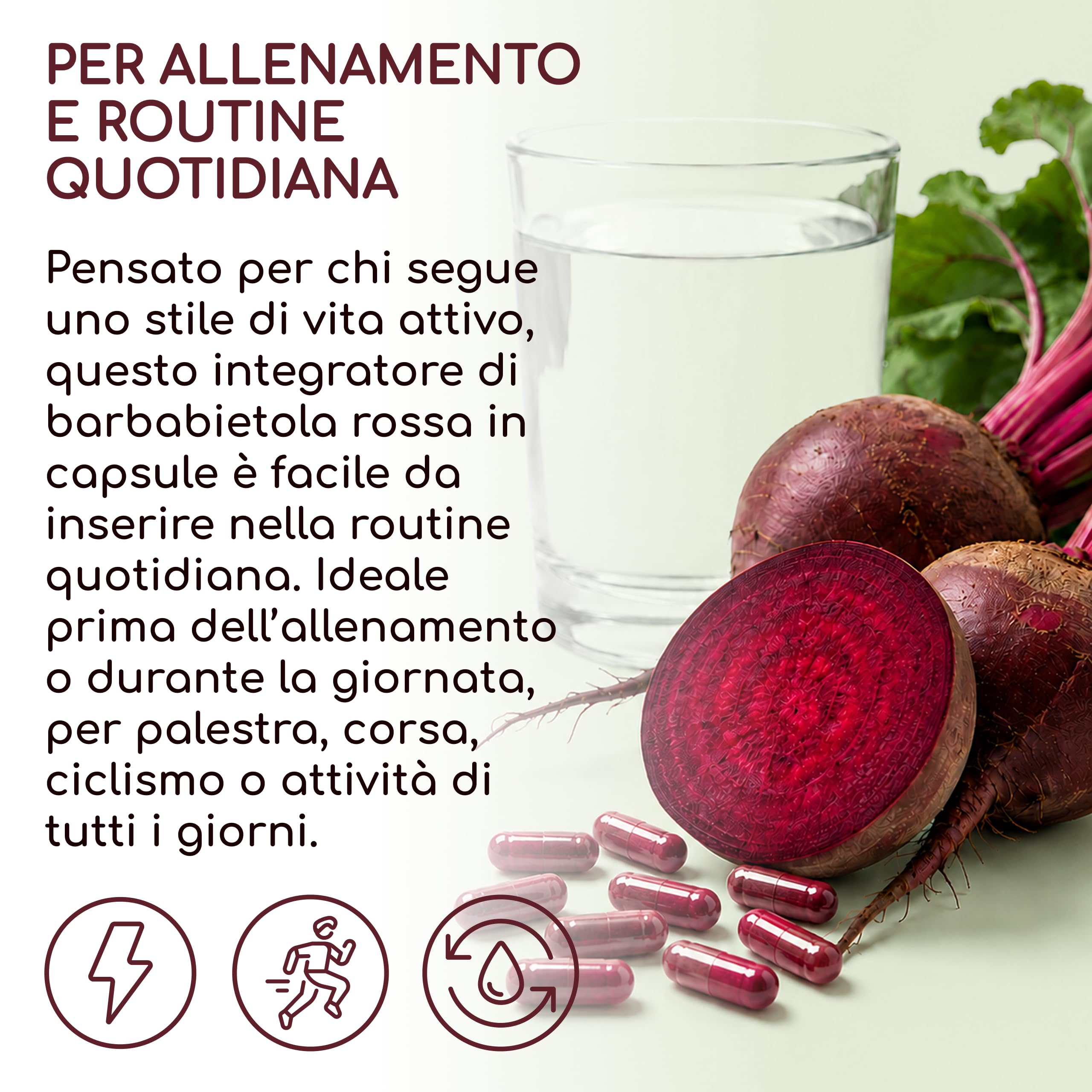Barbabietola Rossa 14.000 mg al Giorno - 240 Capsule, fino a 8 mesi di fornitura - Barbabietola Rossa Integratore, Estratto 10:1 - Supporto all’Ossido Nitrico - Vegano, Senza Stearato di Magnesio