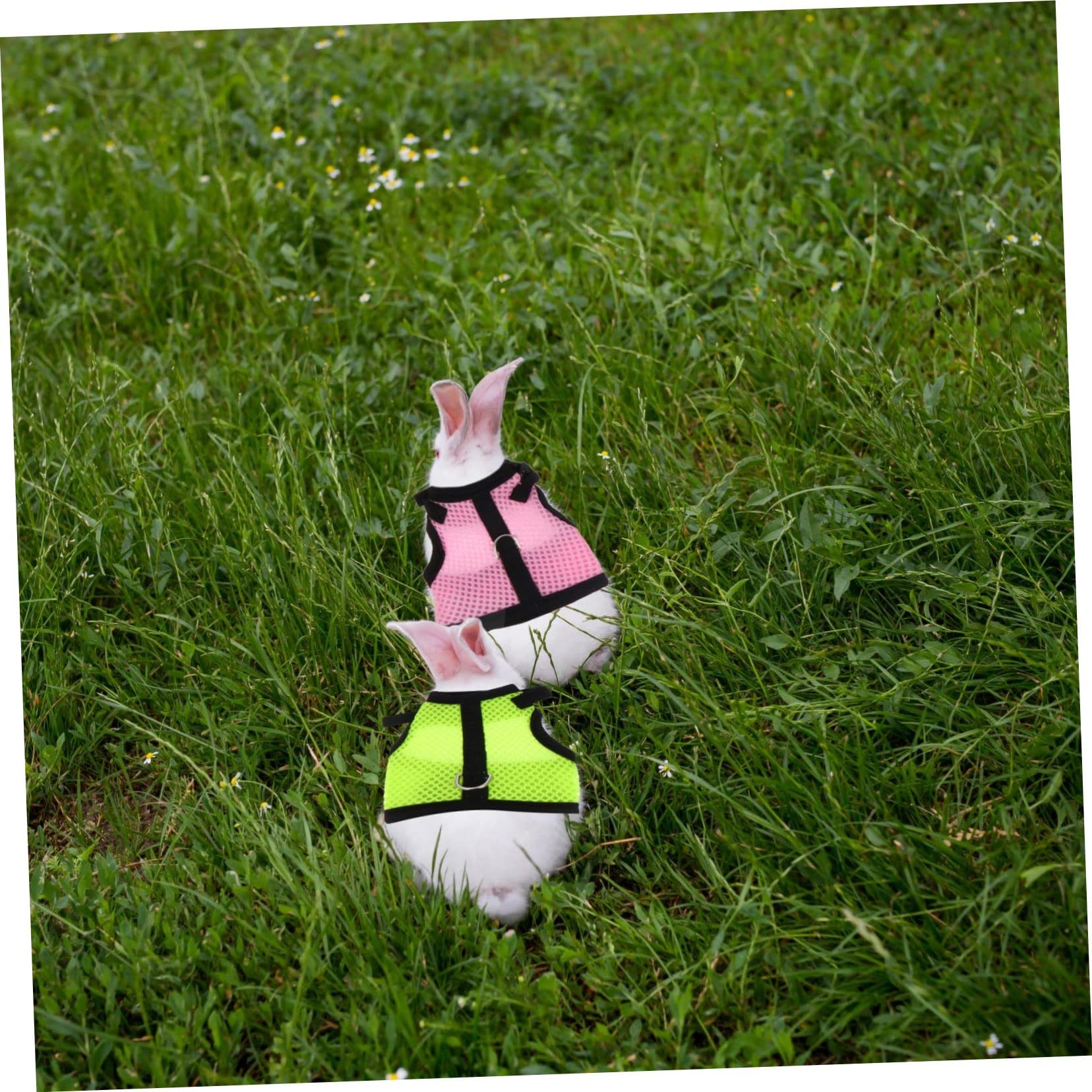 DOITOOL 12stücke Teiliges Hamster-Geschirr Mit Leine Aus Atmungsaktivem Mesh Für Sommer Für Im Freien Erhältlich Kleintiere Wie Kaninchen Und Meerschweinchen