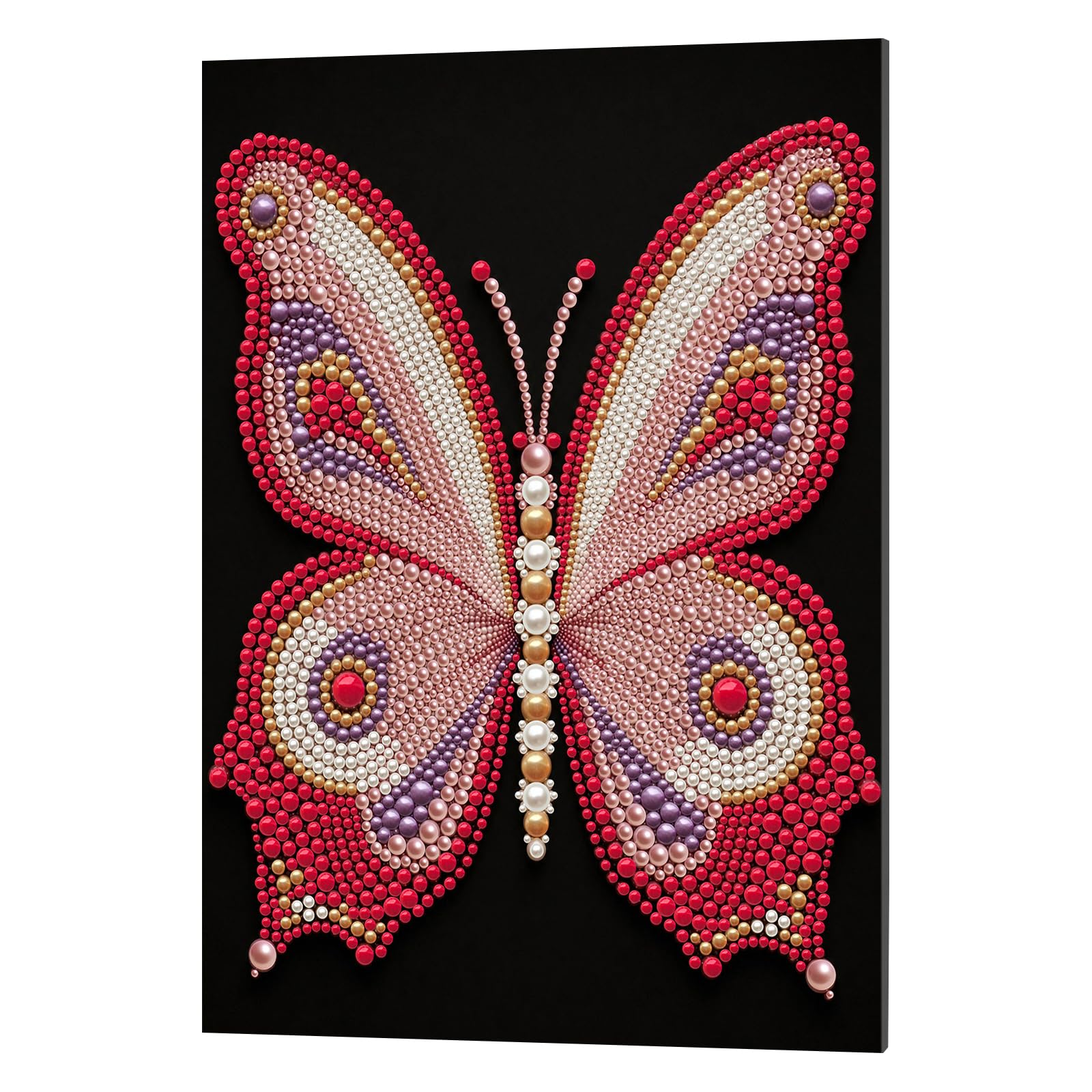 POETRYDRAW Butterfly DIY Framed Pearl Painting Art Kits with Frame 11