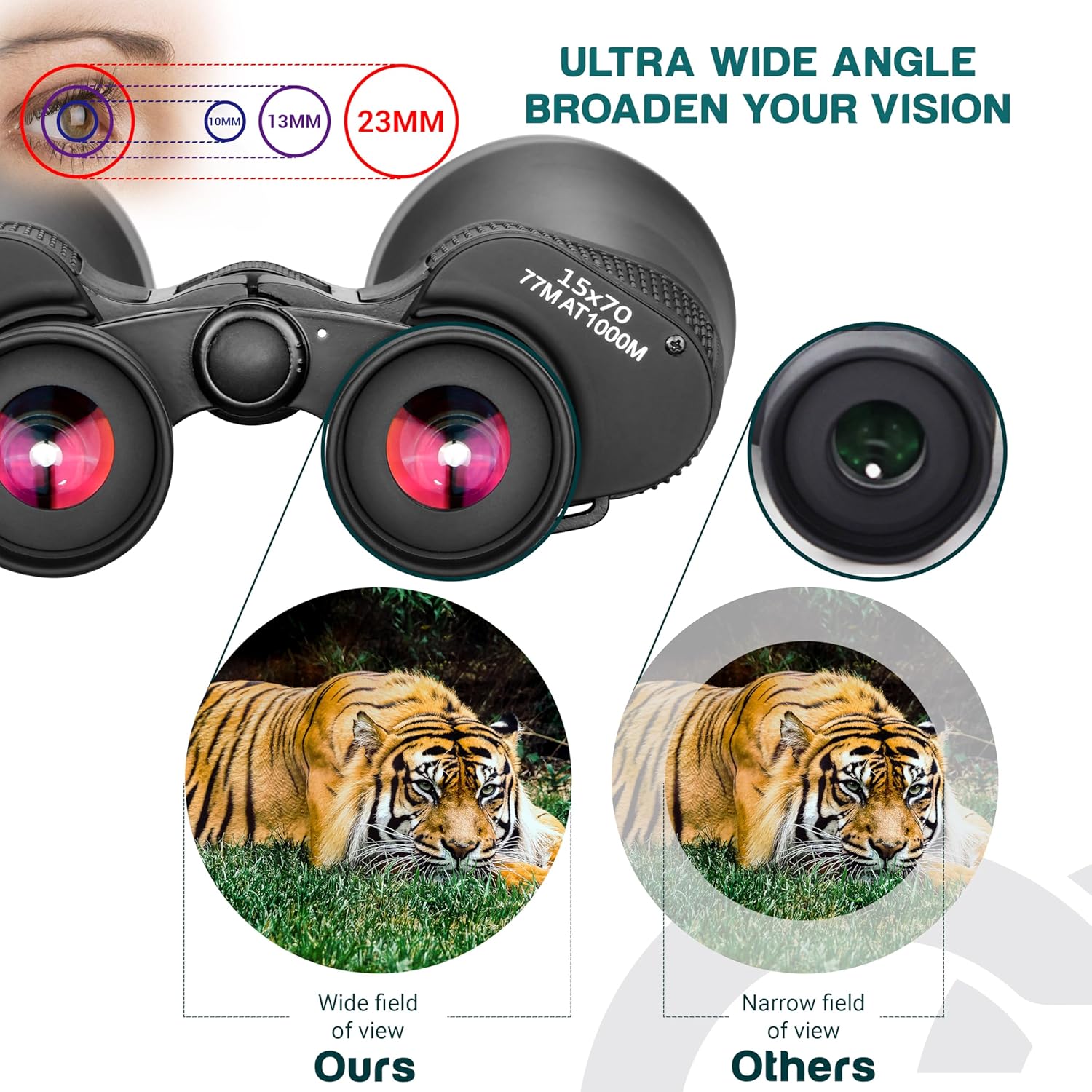 Diagram highlighting the left and right diopter rings, central focusing knob, and tripod mounting rail adapter on the binoculars.