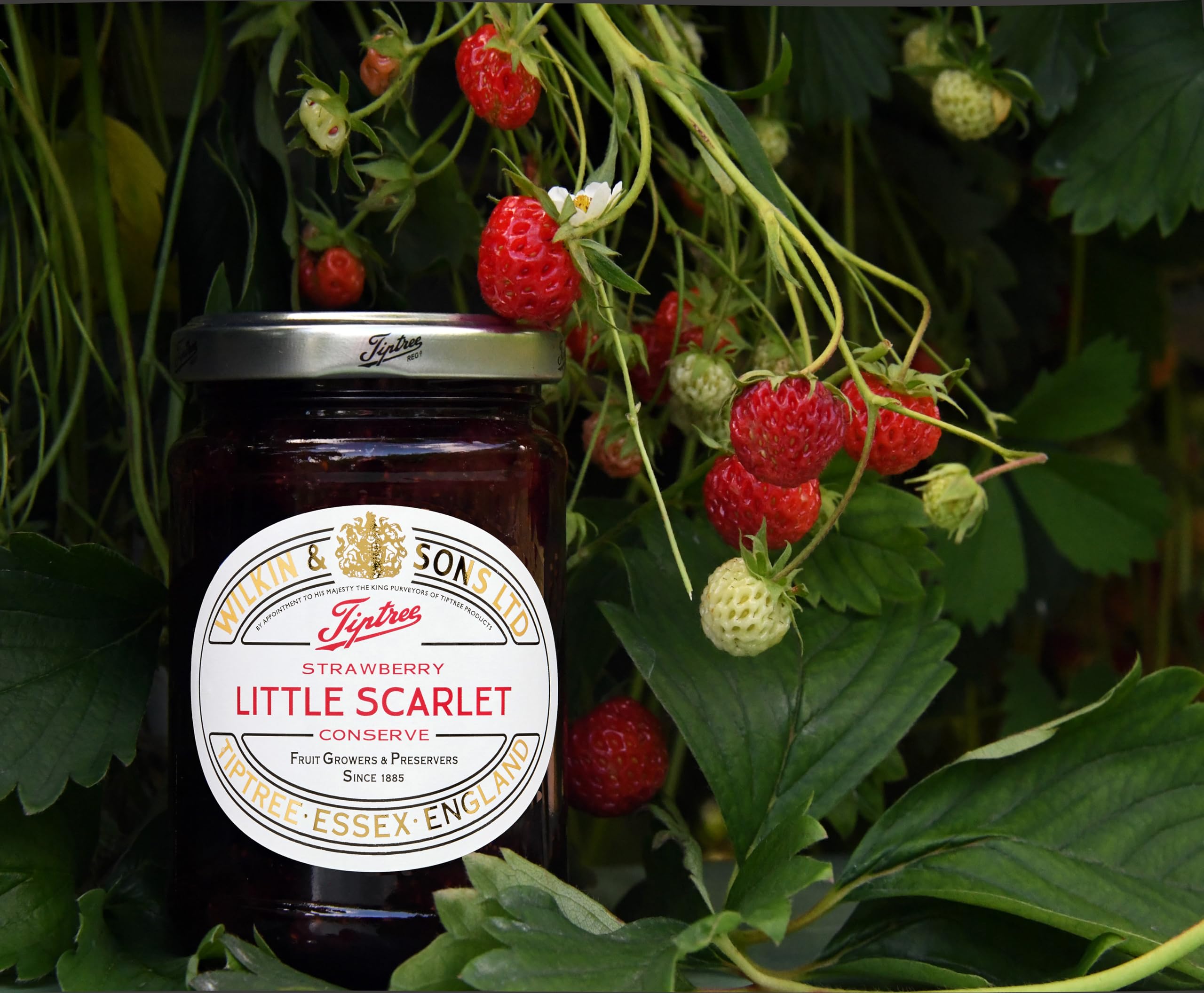 Tiptree Poco Conserva Fragola Scarlatto (340g)