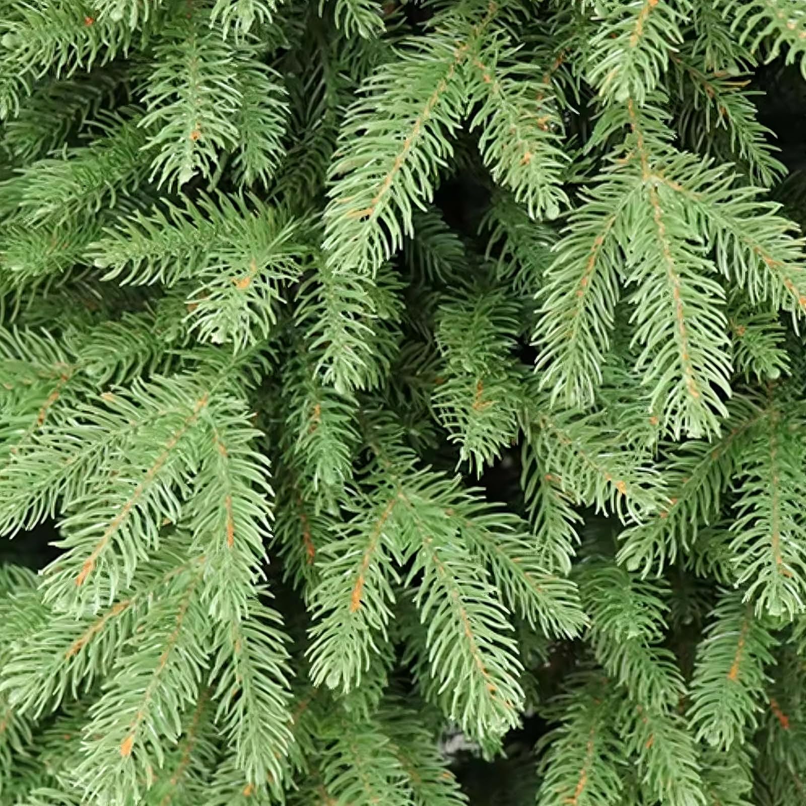 Arbol de Navidad Artificial 70/120/150/180/210/240 cm Plantas Artificiales Pequeño Verde Material PE Árbol de Navidad Decorado para EI Hogar, la Oficina y Fiestas(150cm/59.1")