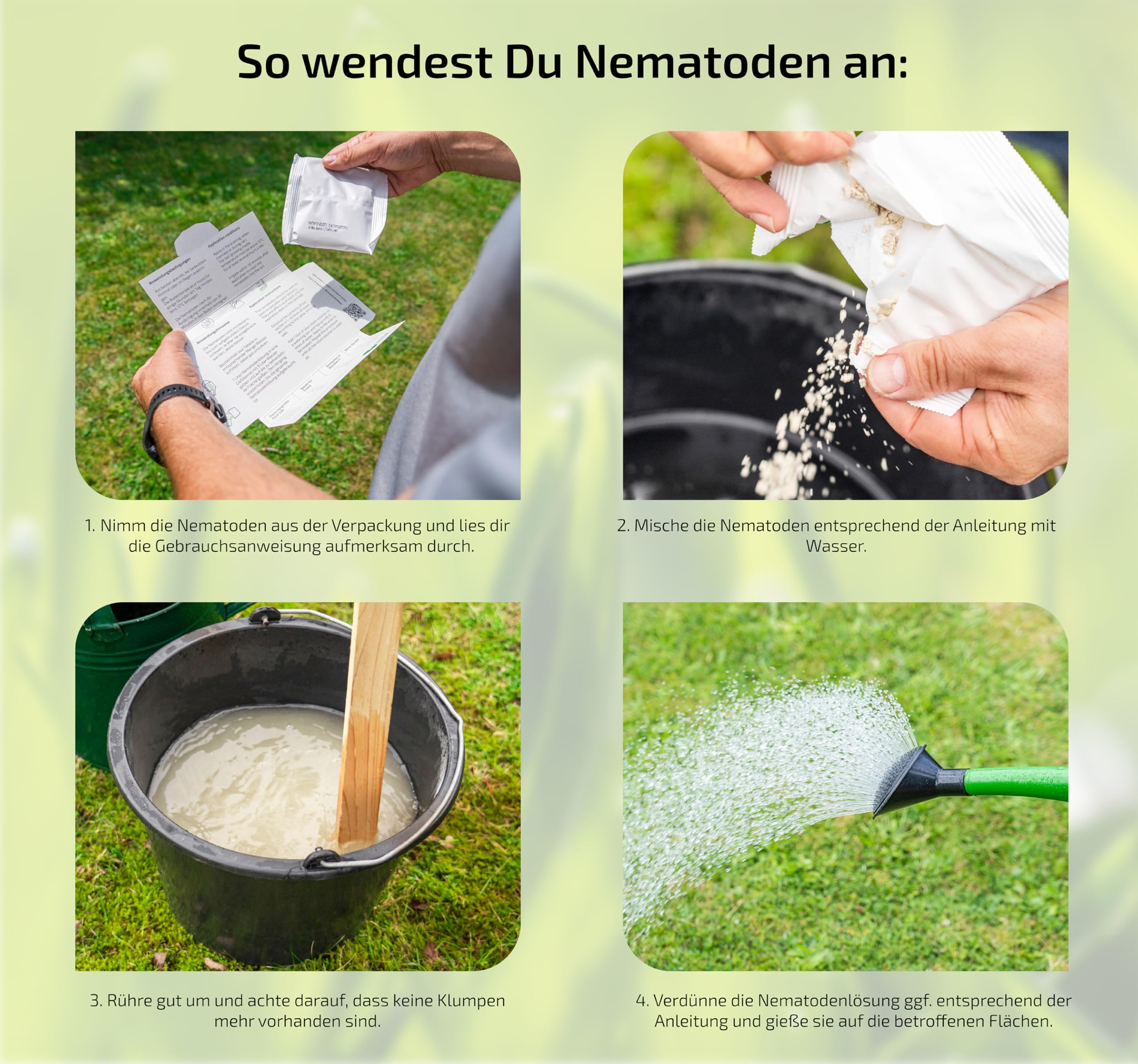 HB-Nematoden gegen Engerlinge | 50 Mio. für 100m² | nema-green Nematoden von e-nema