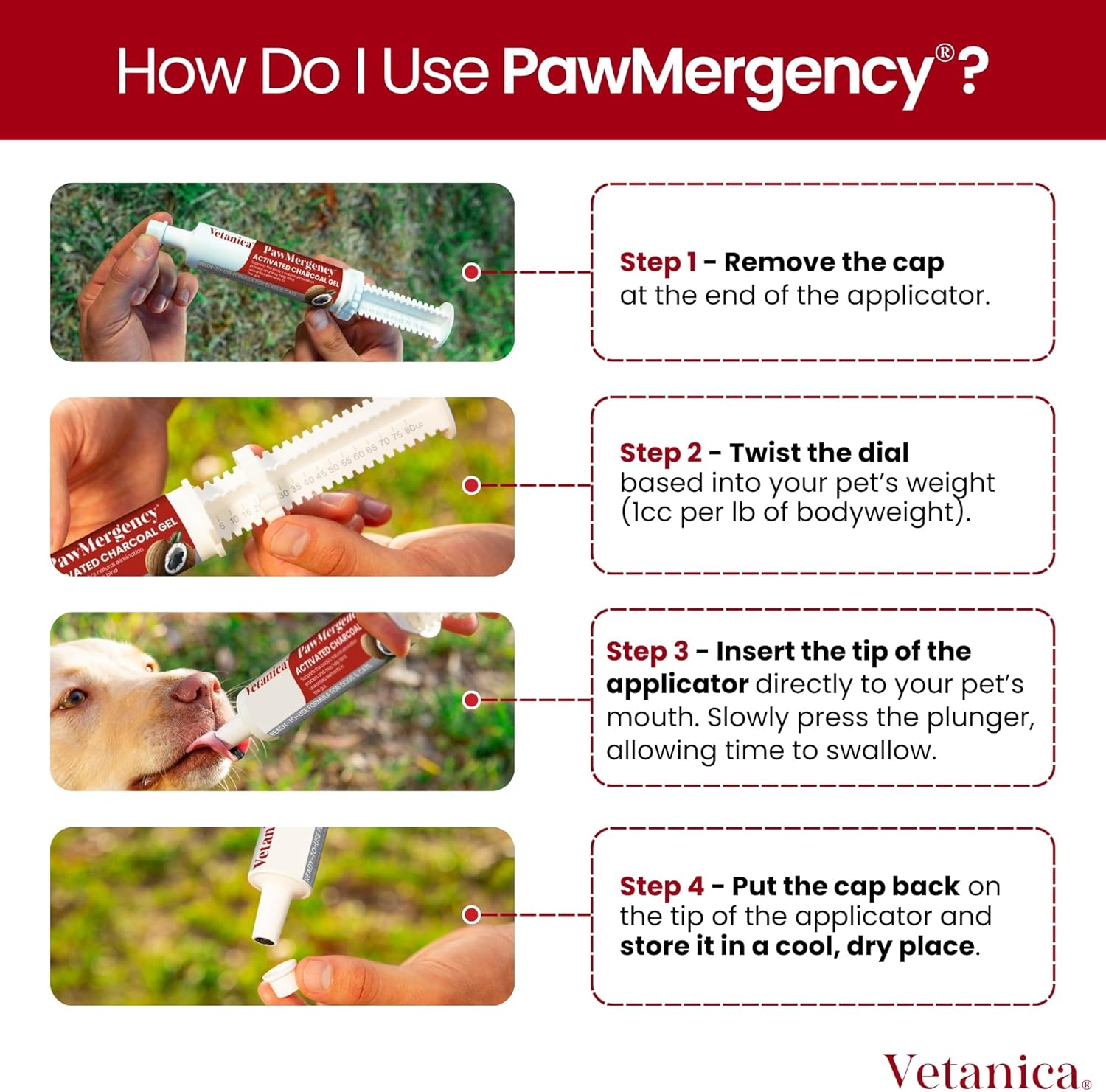 PawMergency – Activated Charcoal First Aid Kit Emergency Rescue 3 Pack for Dogs, Cats, Puppy & Pet Poison Kit, Camping Survival Remedy Essential, Oral Anti Diarrhea Digestive Absorb Toxins