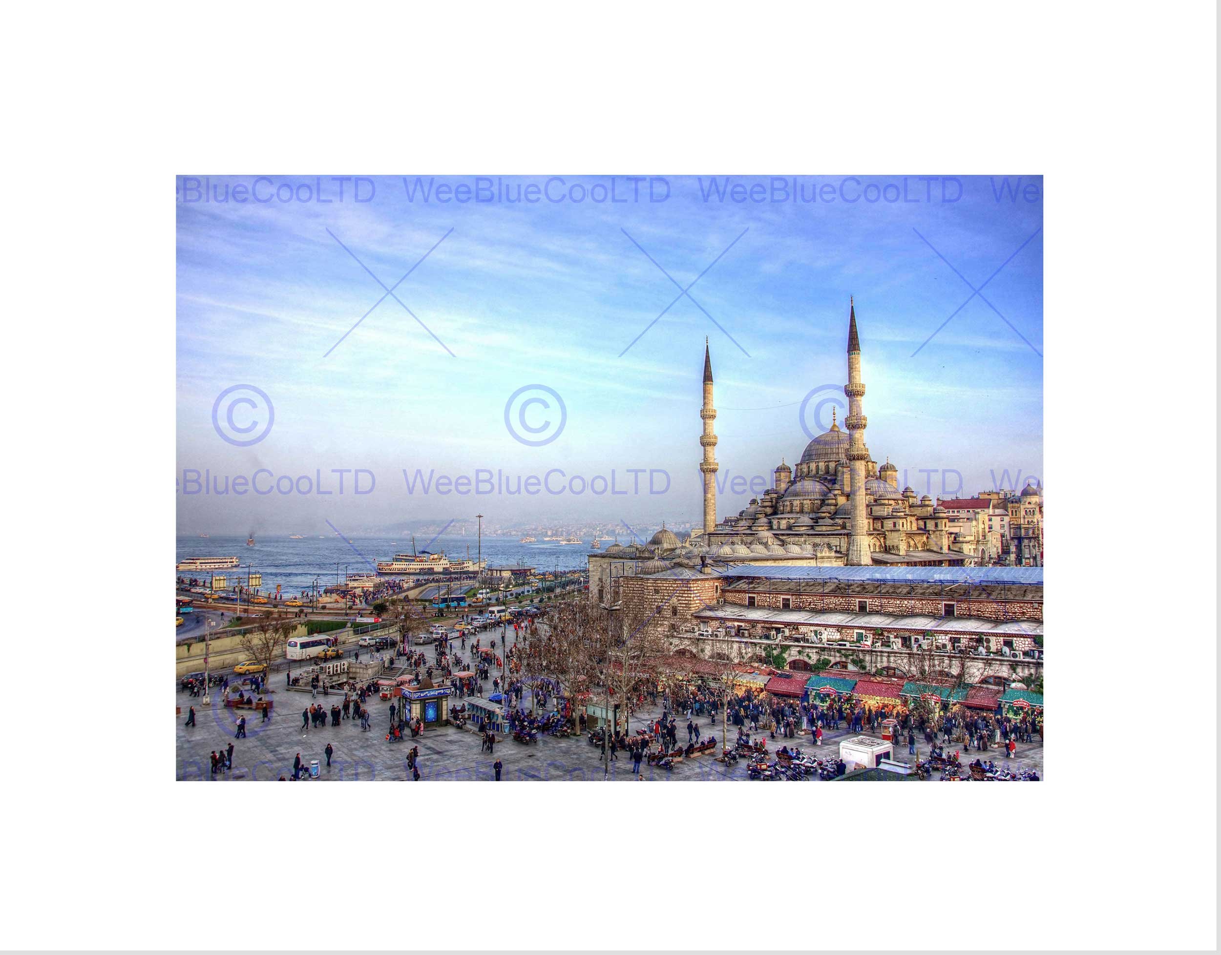Wee Blue Coo Photo Landmark Sultan Ahmed Mosque Istanbul Turkey Wall Art Print