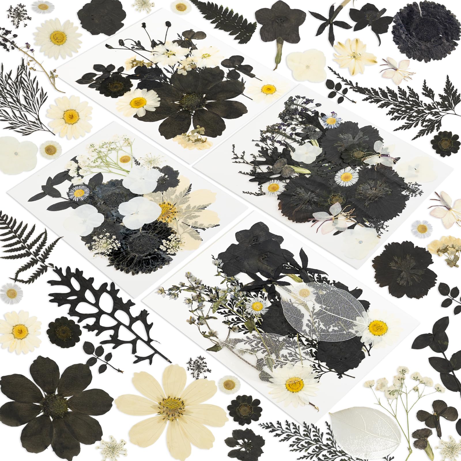 185 Pcs Dried Pressed Flowers for Resin Crafts, Real Natural Pressed Flowers and Leaves, Vacuum Sealed Dry Flowers for Epoxy Resin Jewelry Making, Candle & Soap Making, Nail Art (Nightfall)