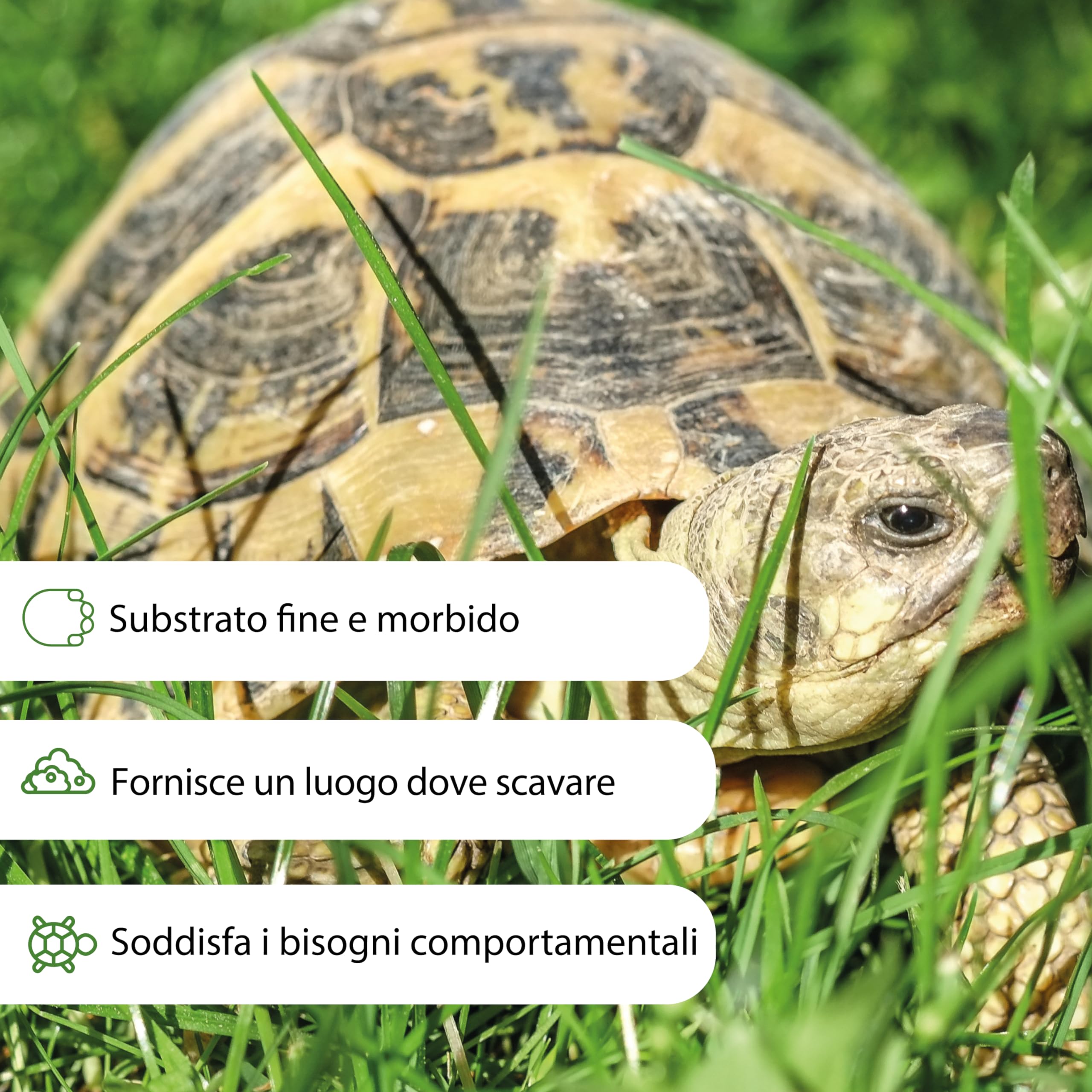 AGRI-CULTURA® Terre pour tortues de terre 20 L Substrat spécifique terrarium
