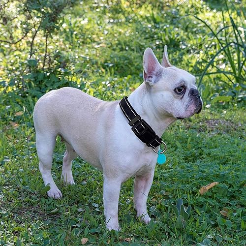 Miniatura 6 de collar reflectante para perro con acolchado de neopreno suave, collares de nylon transpirables y ajustables para perros pequeños, medianos y