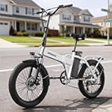 QRONGE Folding Electric Bike, E-Bike Foldable 1000W Peak, 48V 13.5AH Removable Battery Ebike, 20