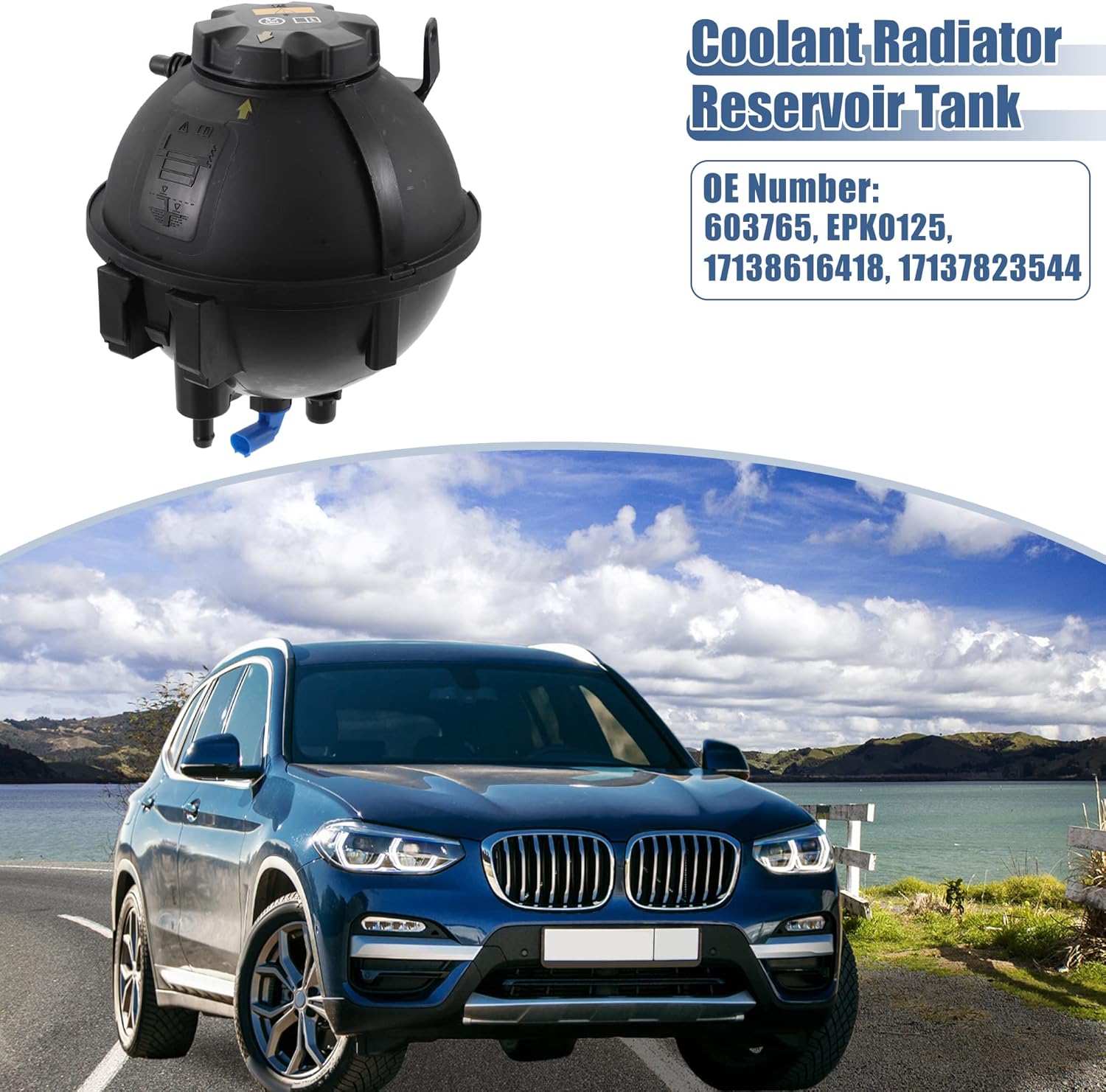 https://m.media-amazon.com/images/I/81DxFuamqPL._AC_SL1500_.jpg