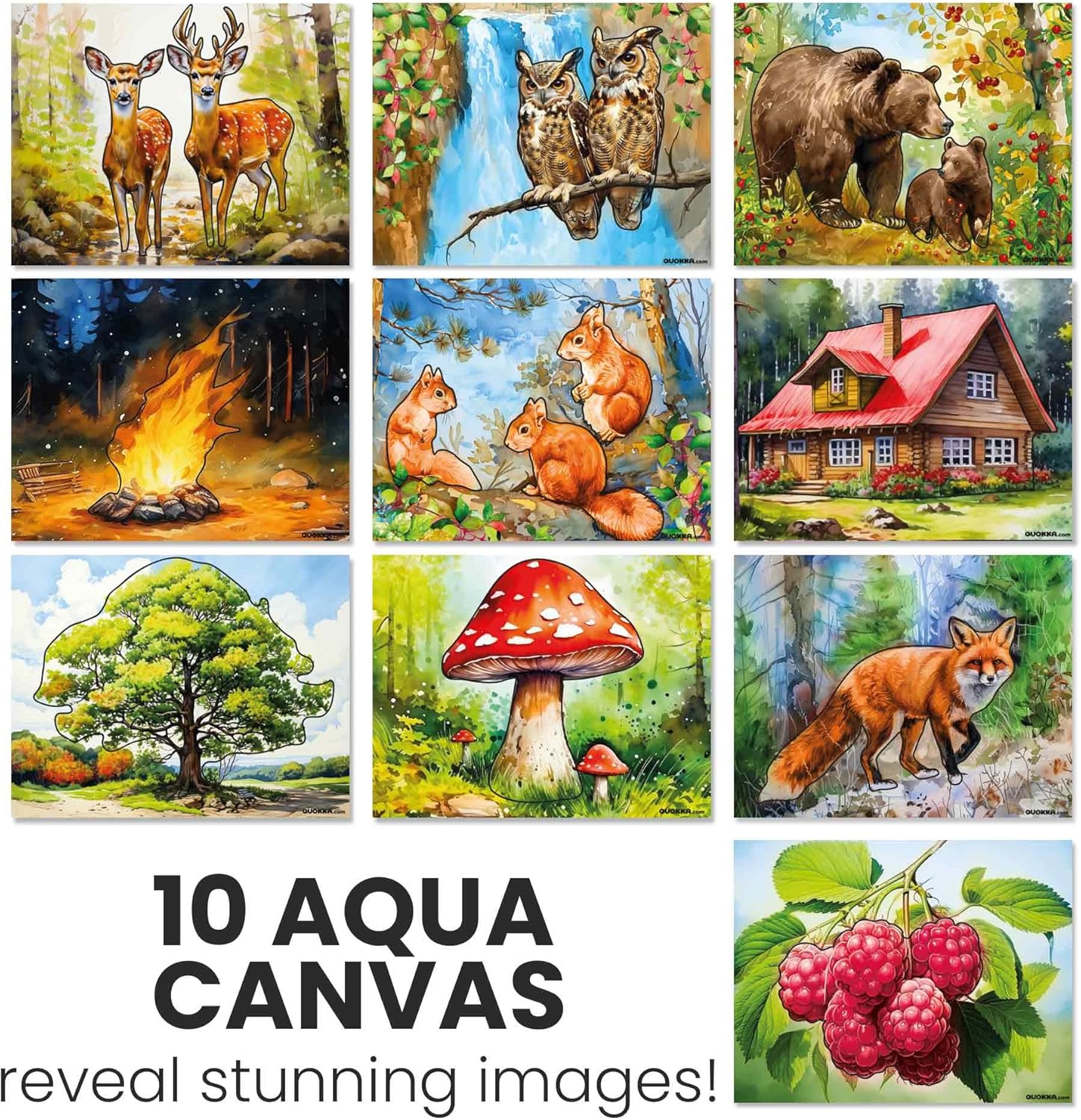 QUOKKA Set of Water Painting Dementia Activities