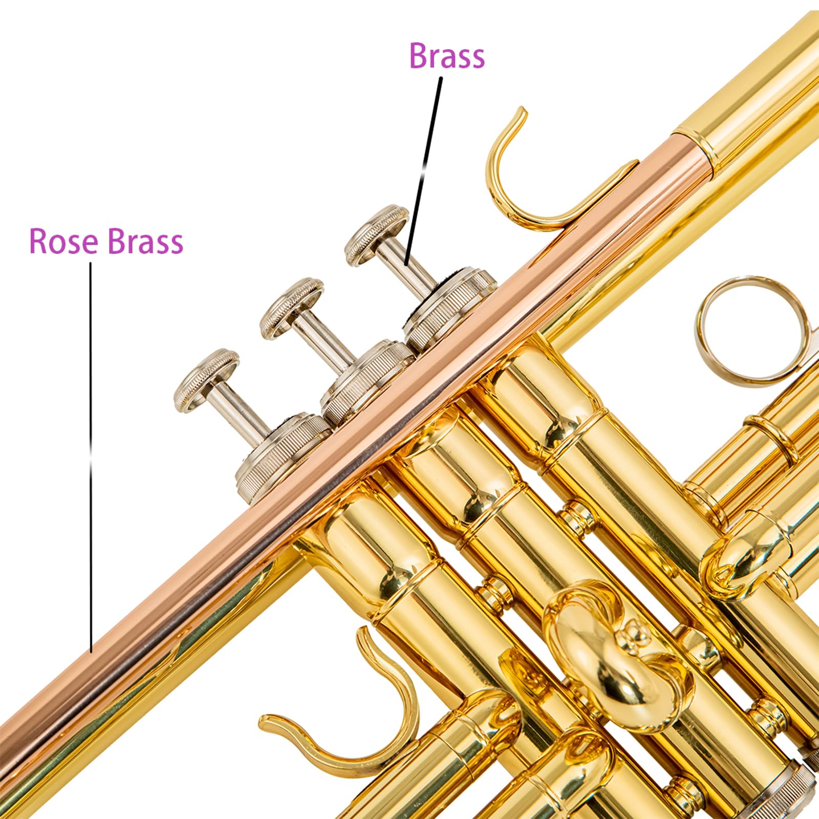 6331 Bb standard tromba leadpipe fosforo coppe per principianti o studenti avanzati caso panno guanti ottone strumenti musicali (ottone oro 6331H)