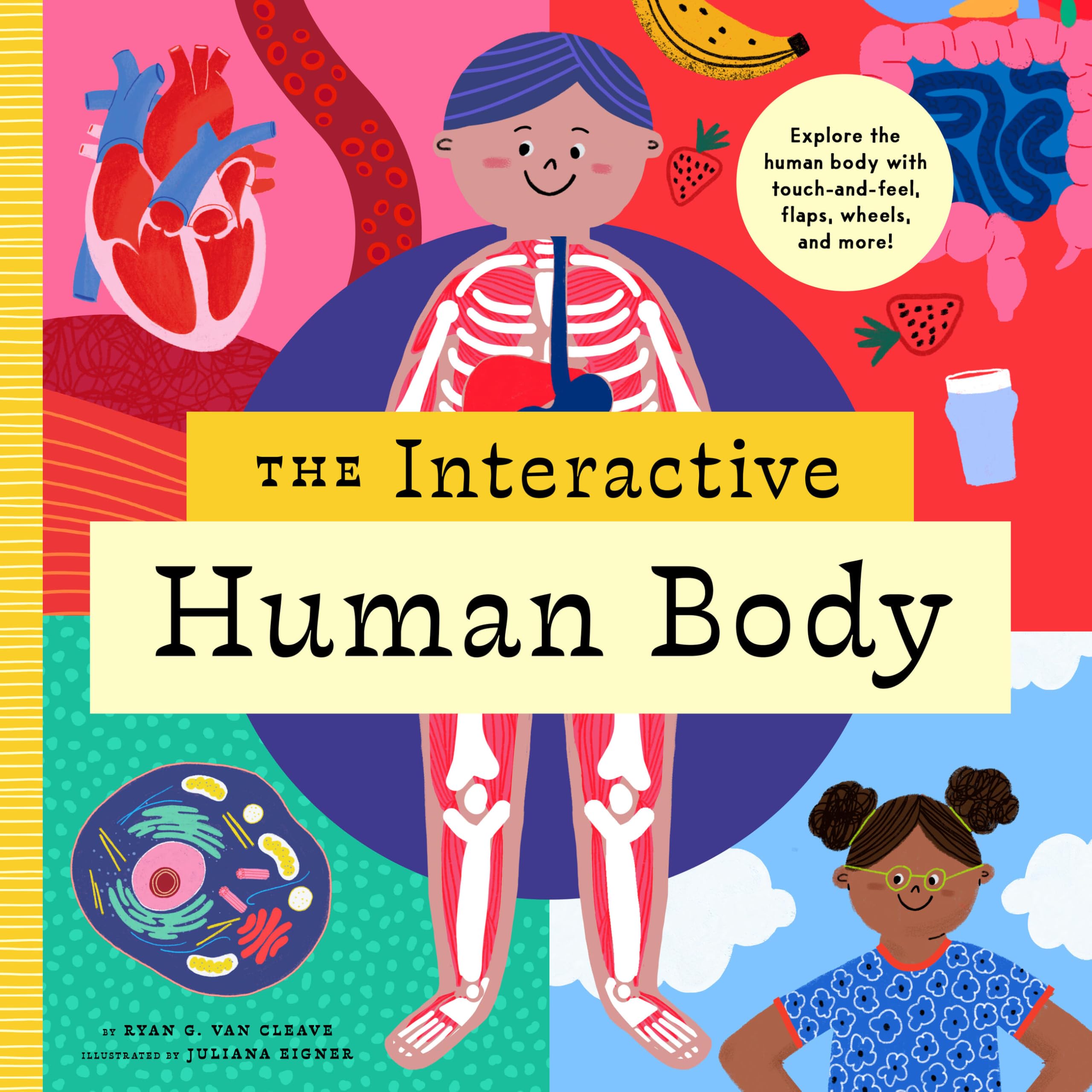 The Interactive Human Body by Peter Hinckley (Hardback Book)