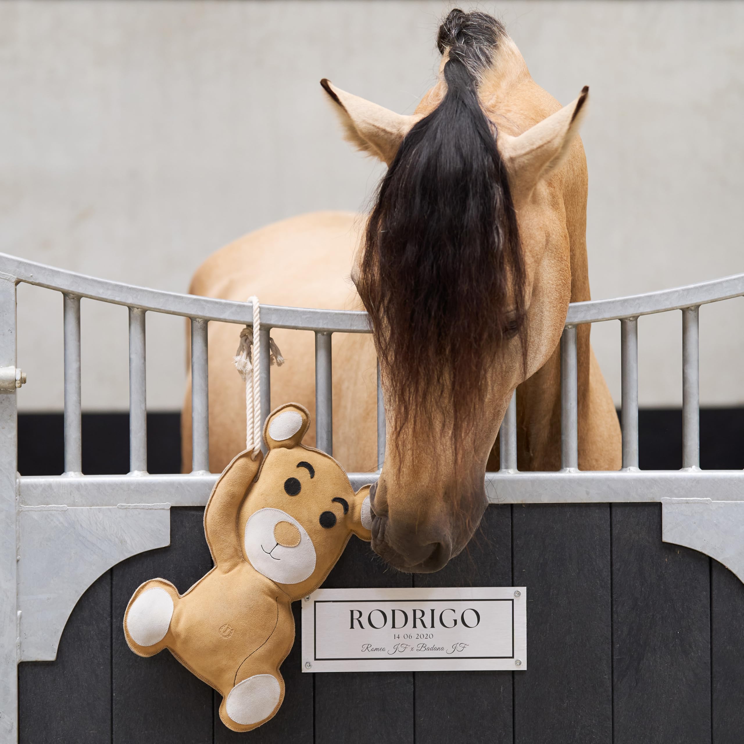 Imperial Riding Stable Buddy - Juego de Juguetes para Caballos y Ponis de Gamuza, Entretenimiento para Boxeo, Paddock o Caballos, Osito