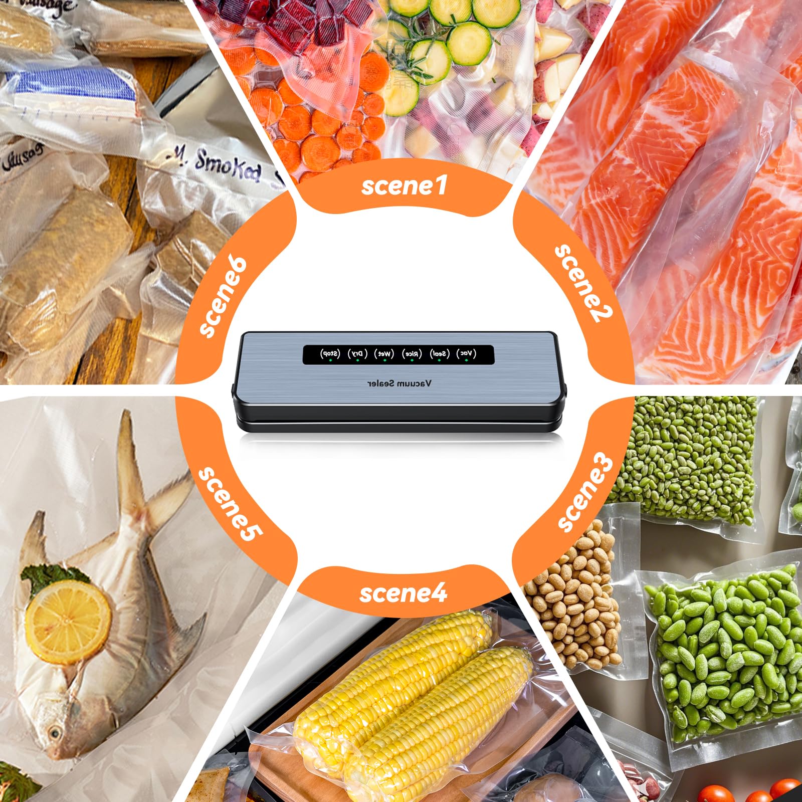 Machine Sous Vide Alimentaire 5 en 1, Appareils de Mise Sous Vide Compacte, 50 Sacs Sous Vide Inclus, Machine à Sceller Sous Vide pour Aliments Secs et Humides, Pour la Conservation des Aliments