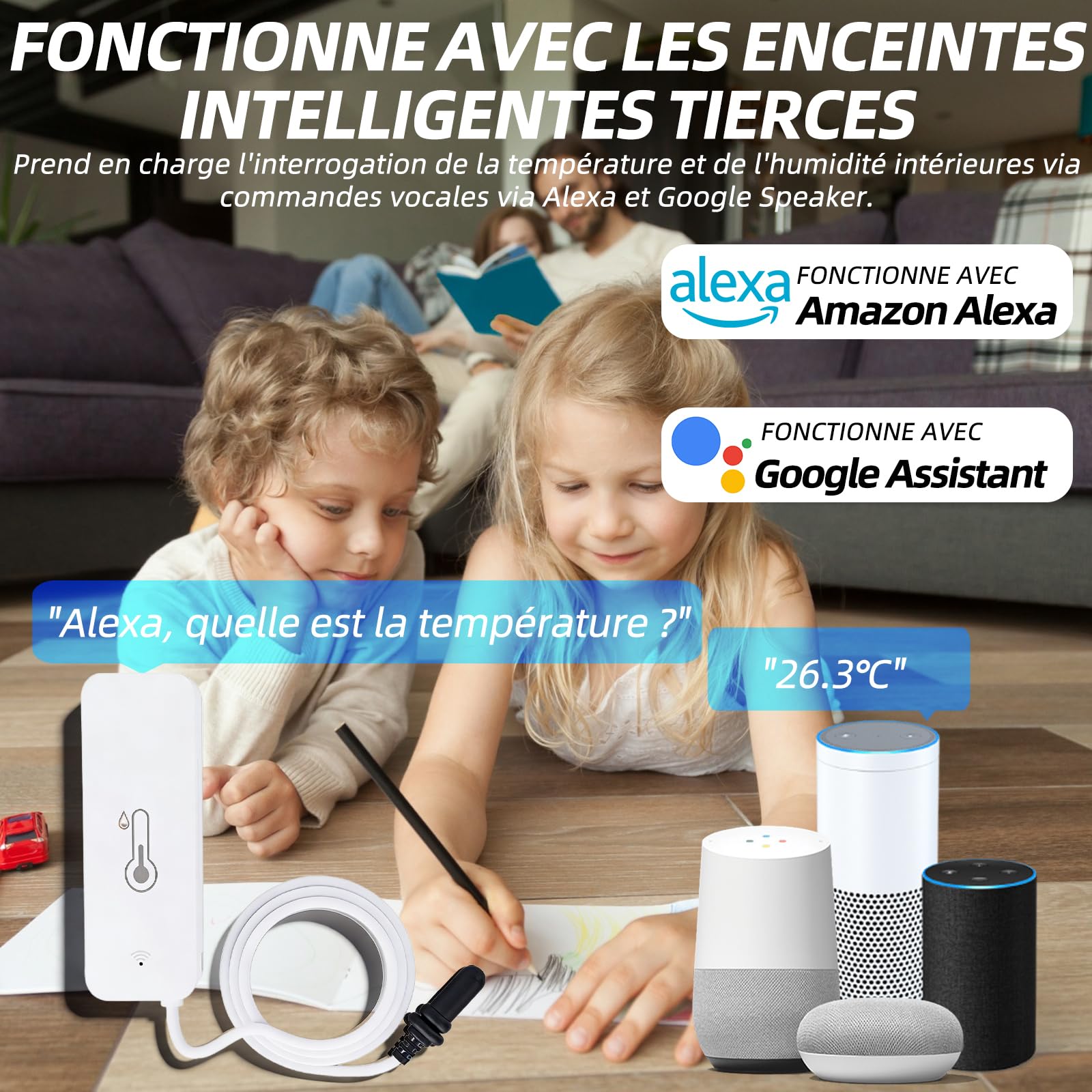 Thermomètre hygromètre WiFi avec capteur externe intelligent pour intérieur extérieur alarme application surveillance à distance compatible Alexa congélateur