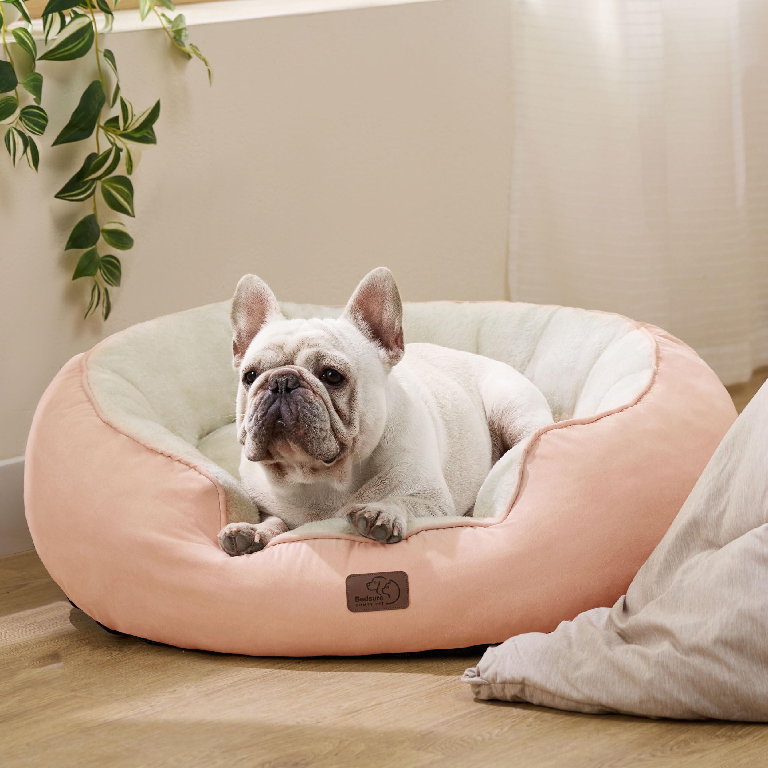 BEDSURE Katzenbett waschbar Katzen Bettchen - 76x63x20cm Katzen Bett mit Zweiseitig Innenkissen Katzenschlafplatz für oder kleine Hunde, Rosa