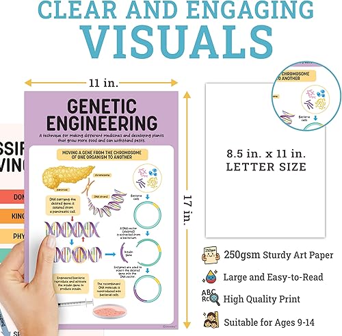 Miniatura 5 de Decorably 16 pósteres de biología para aula, 11 x 17 pulgadas, póster de ciencia educativa laminado mate para aula, pasillos escolares, tablones de