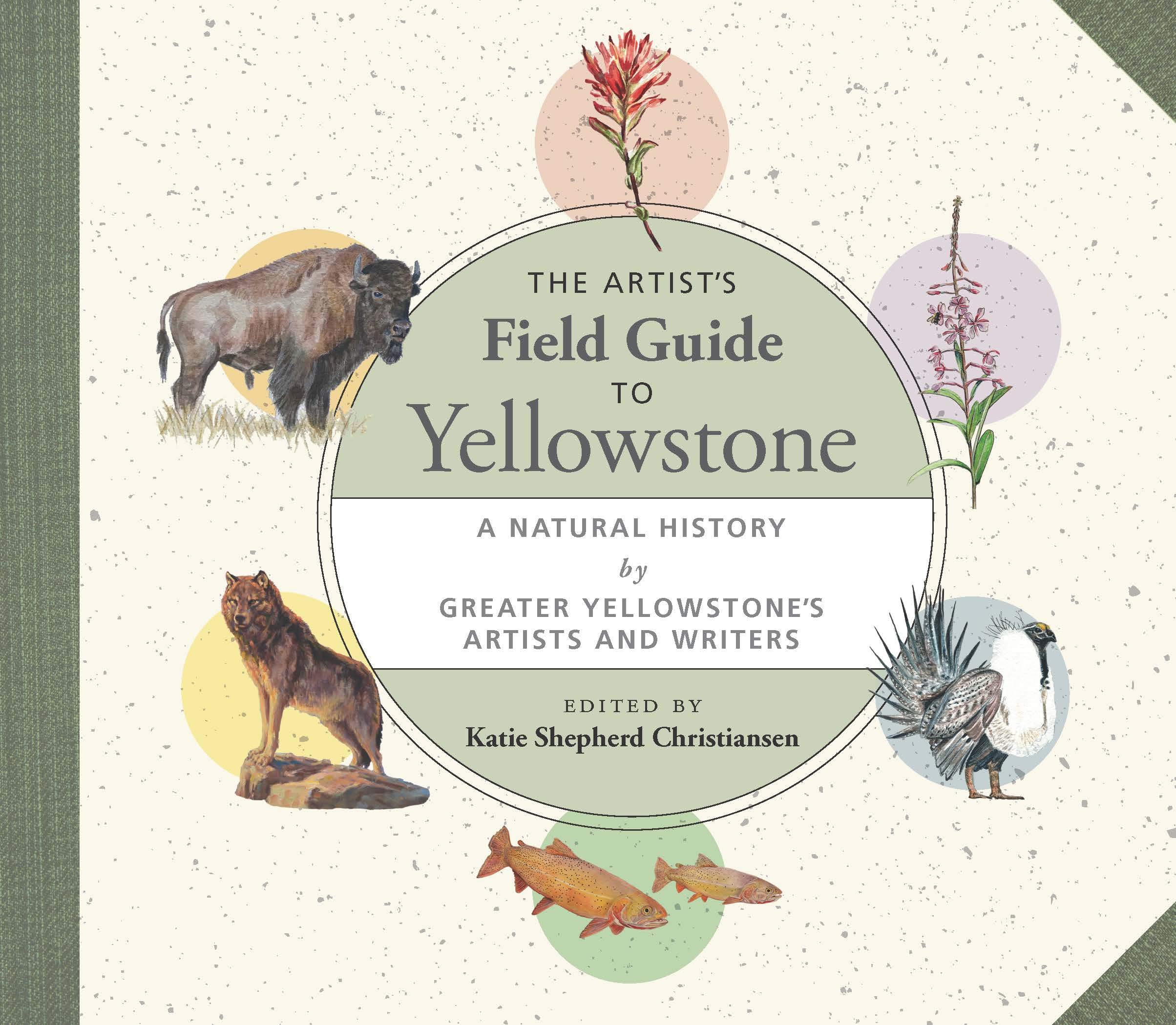 Artist's Field Guide to Yellowstone