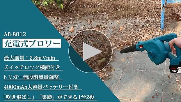 [2本組]パワーアップ 波動 健康ブレスレット（BL/W 202mm) パワービット 10本組 ＋2×45（X硬度） | ANEXブランドの