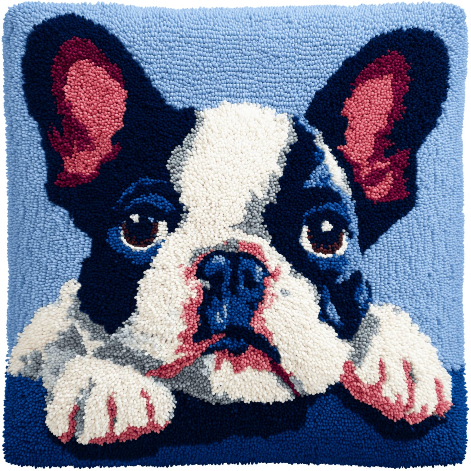 kitphoenix Latch Hook Rug Making Kit for Cushion 43x43 cm,French Bulldog,DIY Craft Set with Colour Printed Canvas,Pre-Cut Yarn,Crochet Hook and Instructions