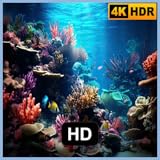 Acuario de arrecifes de coral TV: Música relajante del océano tropical