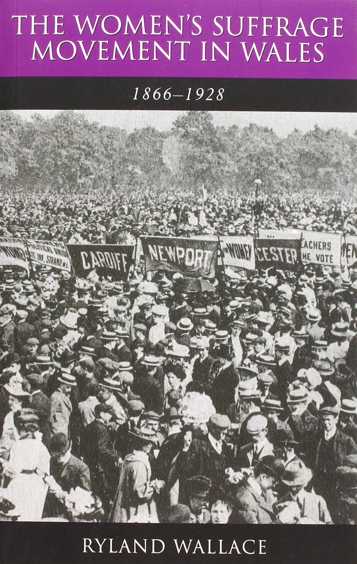 The Women's Suffrage Movement in Wales, 1866-1928 (Studies in Welsh History)