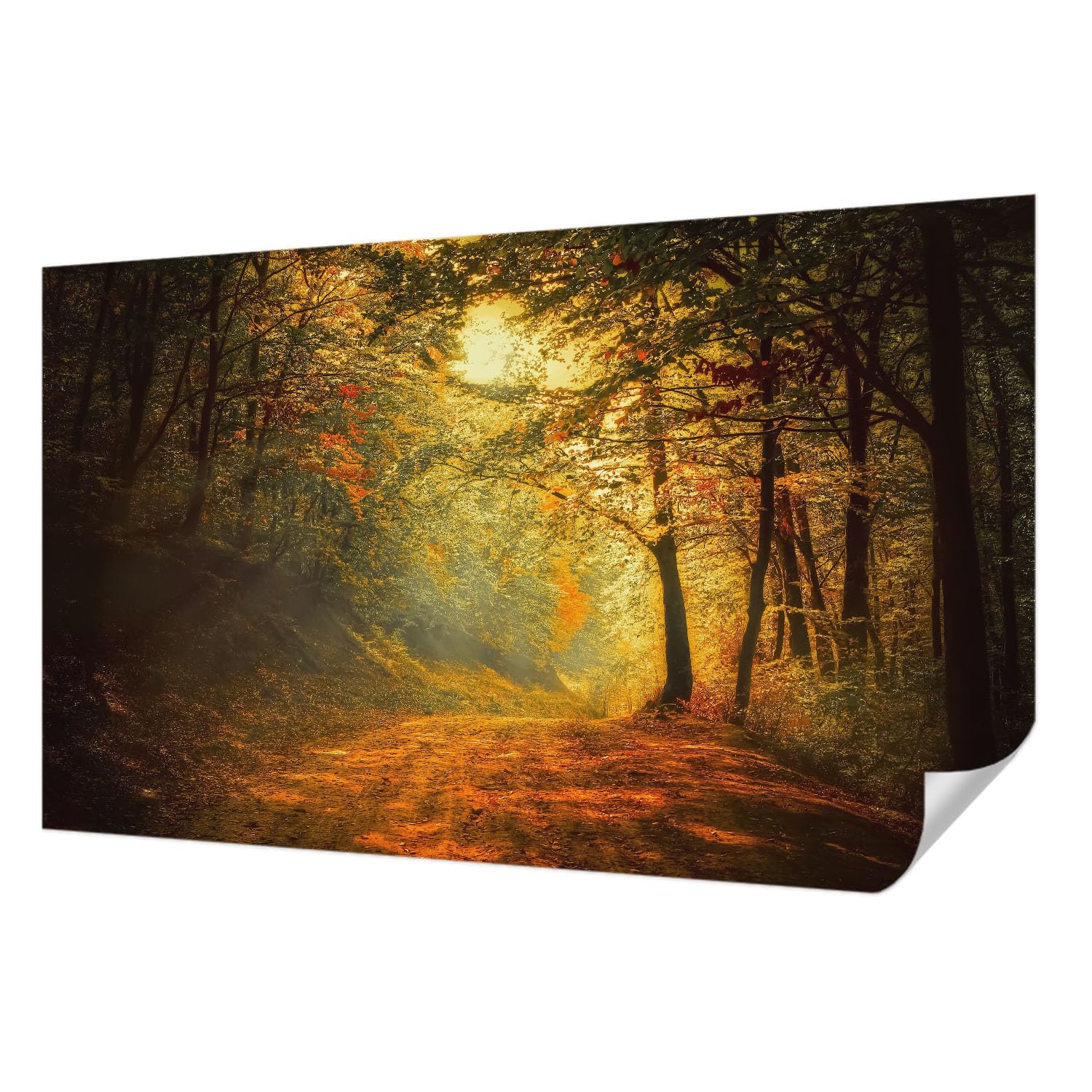 Décoration murale autocollante lavable 416x254 cm Tulup au rendu haute qualité