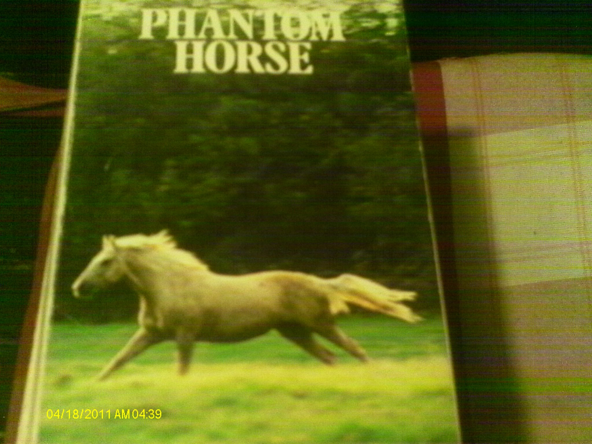 Phantom Horse (An Armada pony book)