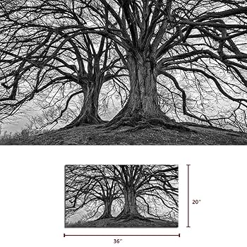 モノクロ鉛筆画 自然の風景 木製フレーム付き