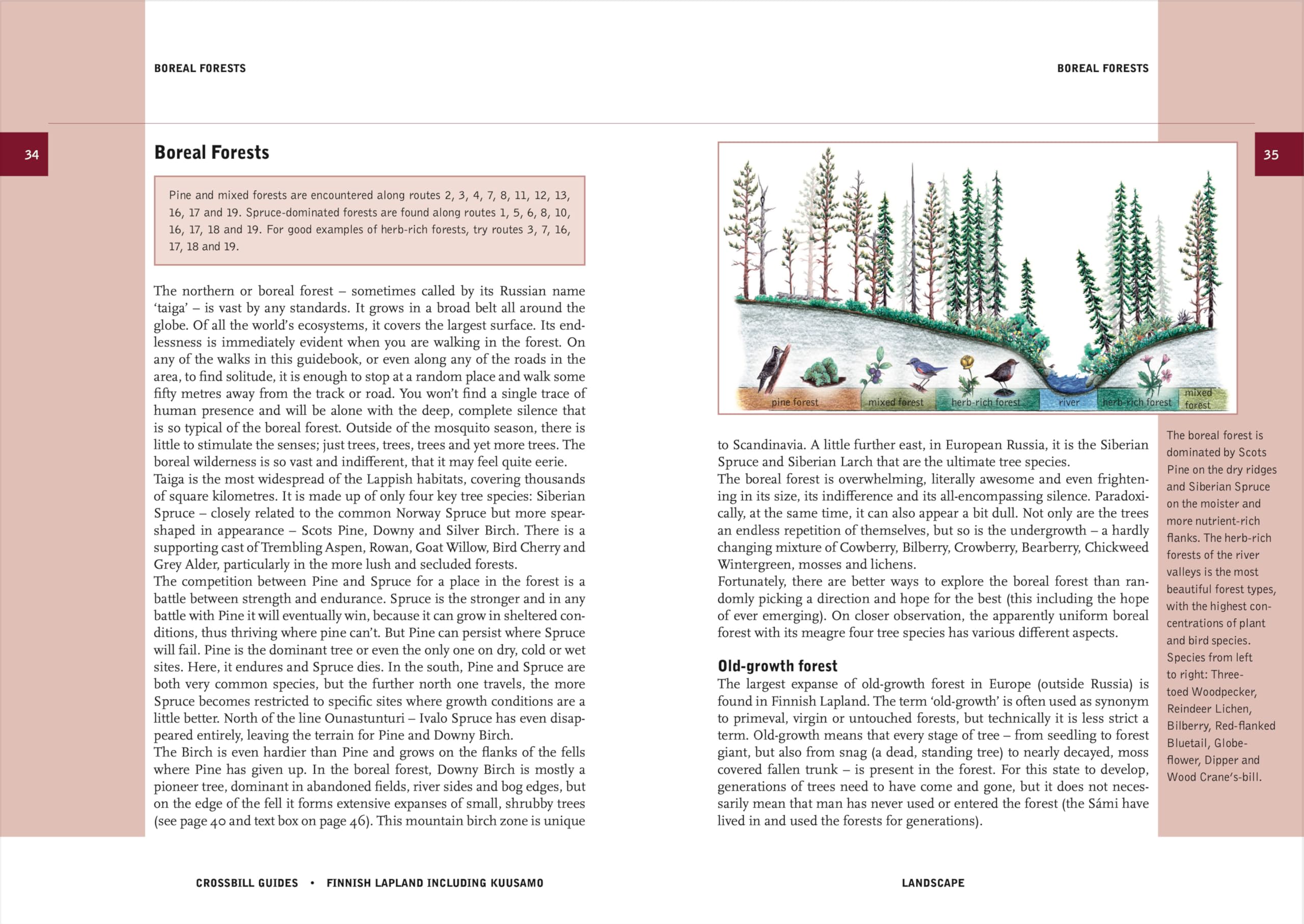 Finnish Lapland: including Kuusamo (Crossbill Guides)