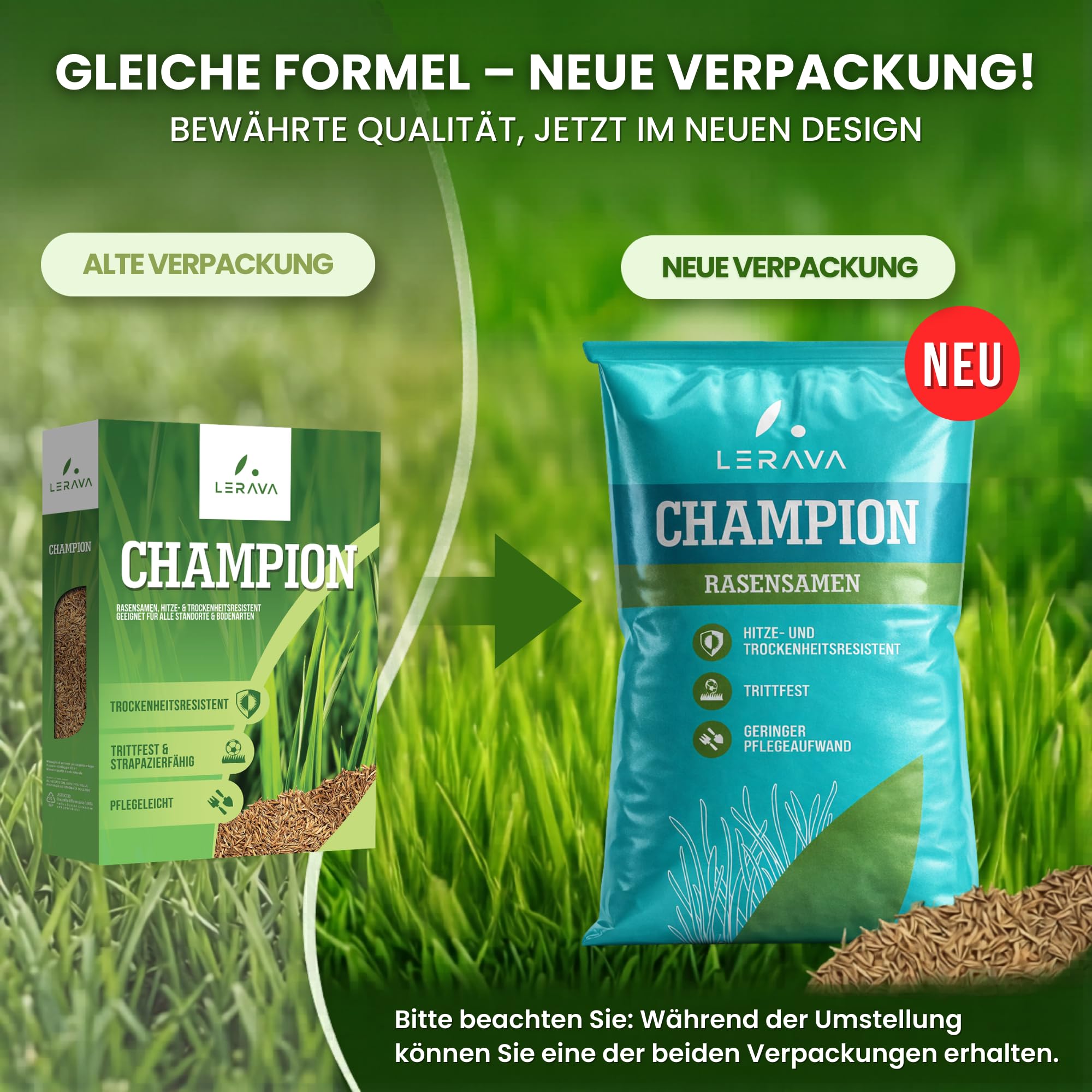 LERAVA CHAMPION Rasensamen (185 m²) - trockenresistent & trittfest - schnellkeimender Grassamen für dichten Rasen - strapazierfähige Nachsaat Herbst - ideal für Spiel- & Sportrasen