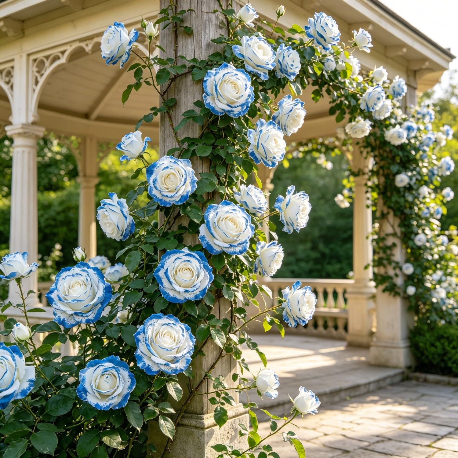 Climbing Rose-Hardy Perennial,Garden Flowers,Ornamental Flowers,Wedding Flowers，Professional Planting for Stunning Garden Displays-1500pcs-M