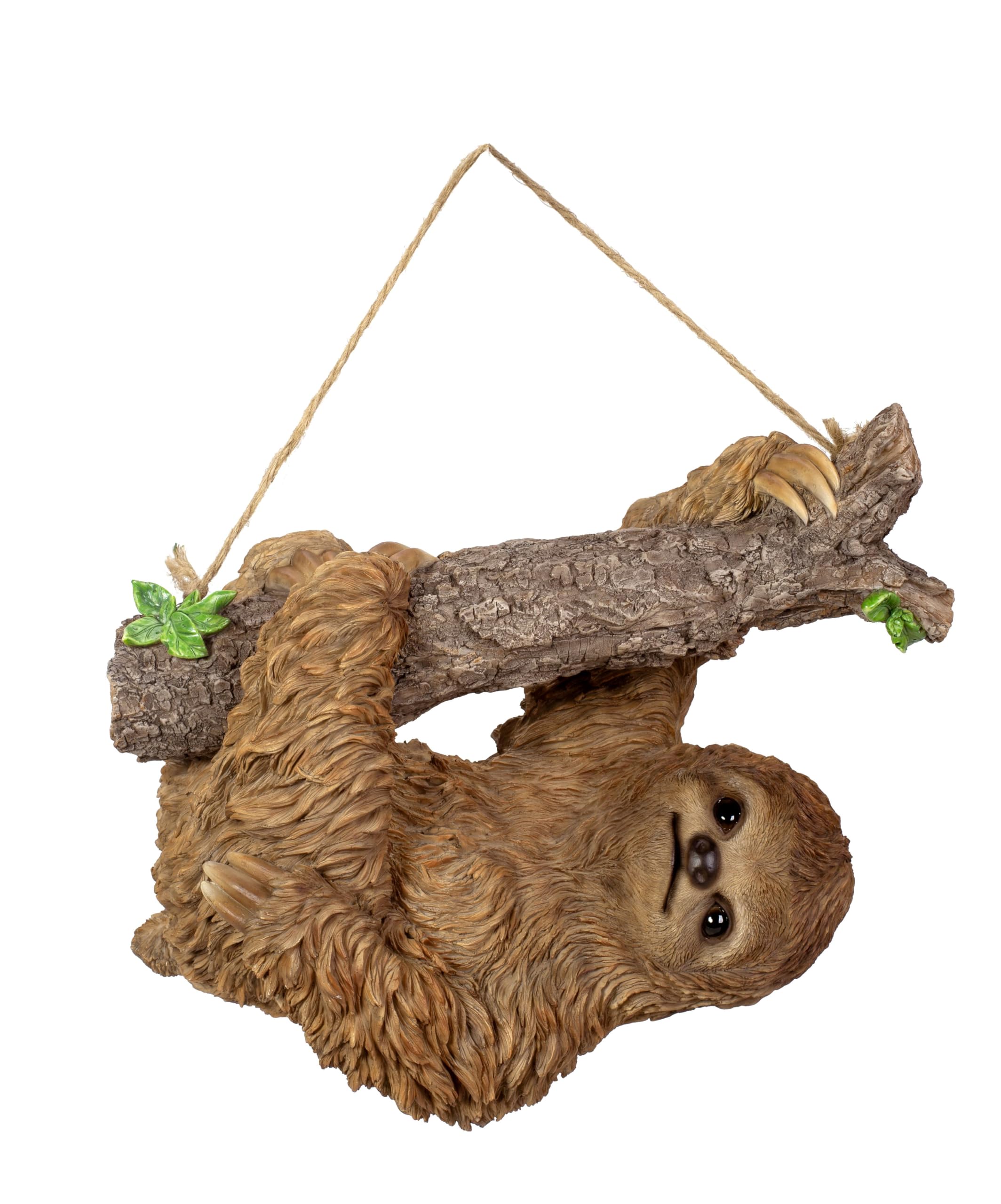 Vivid Arts - Real Life Hanging Sloth - XRL-HSLT-B