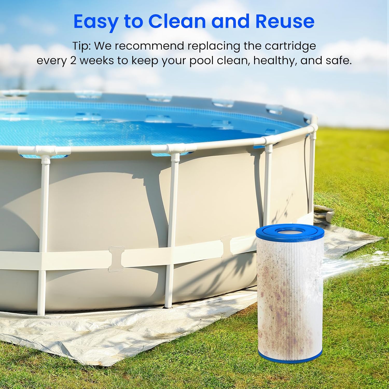 Type A Or C Comparison: Future Pool Filter showdown, Tested Insights