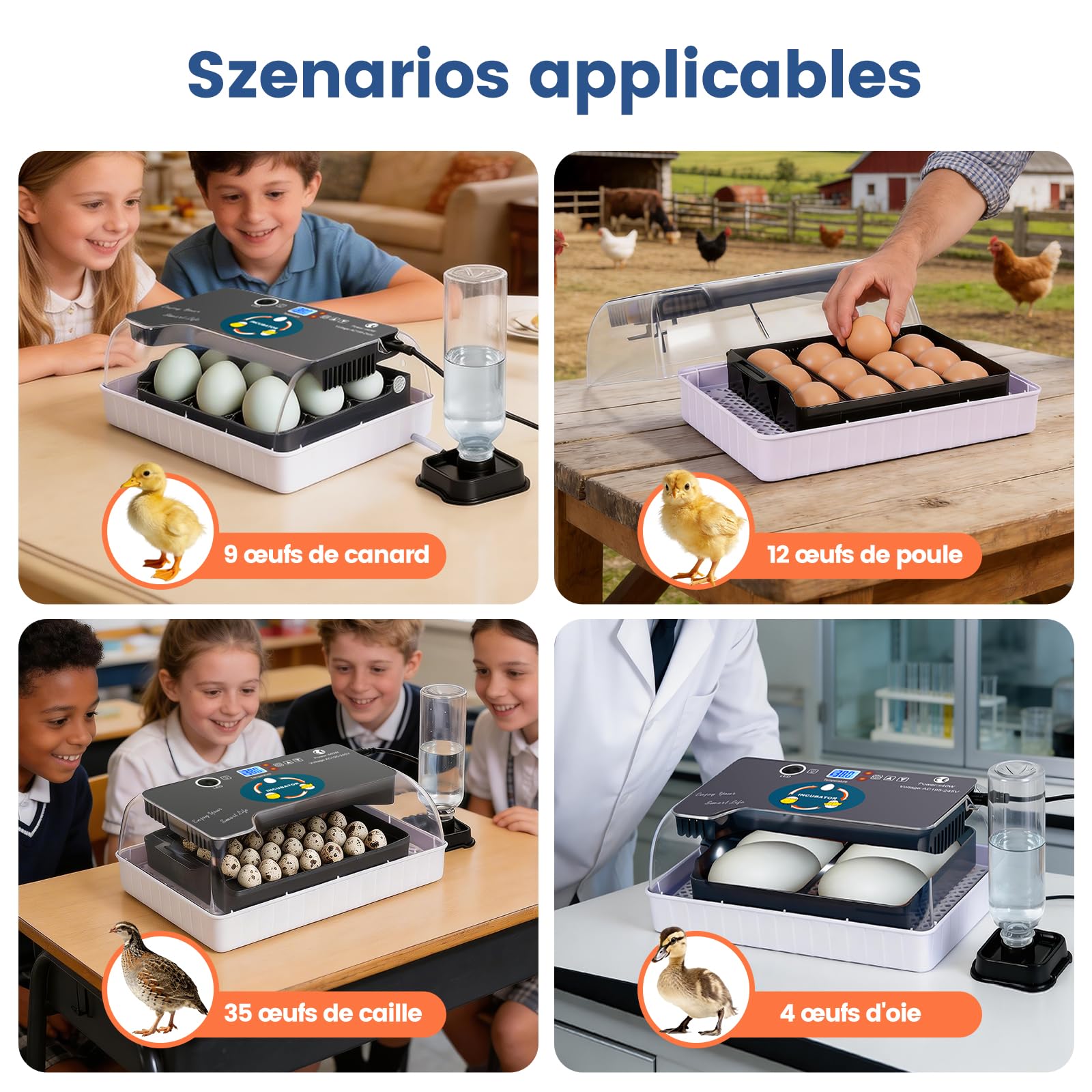Couveuse Oeuf Automatique, 12 Couveuses Avec ContrôLe Intelligent Et PréCis de la TempéRature et de L'Humidité, éClairage Led Efficace, Incubateur Tortue, Adapté Aux Poules, Oies, Canards, Pigeons