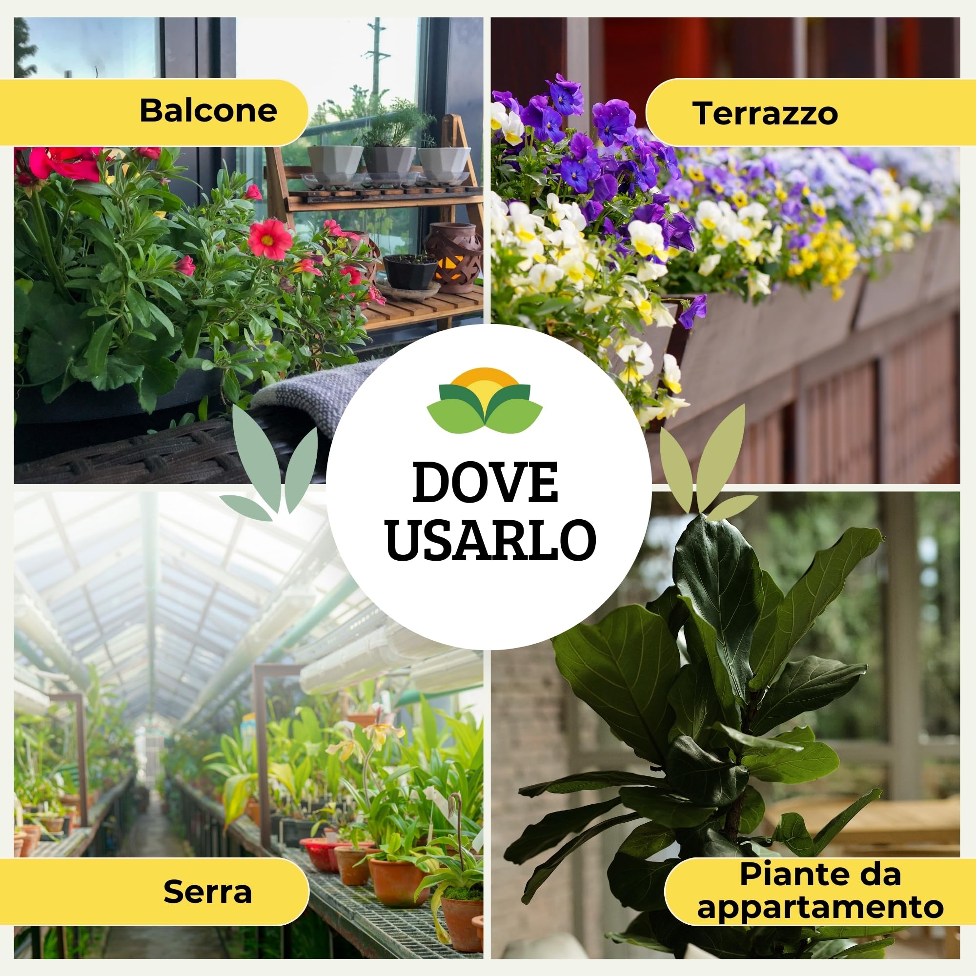 Albagarden Spruzit concentrato parent (2 Pezzi)