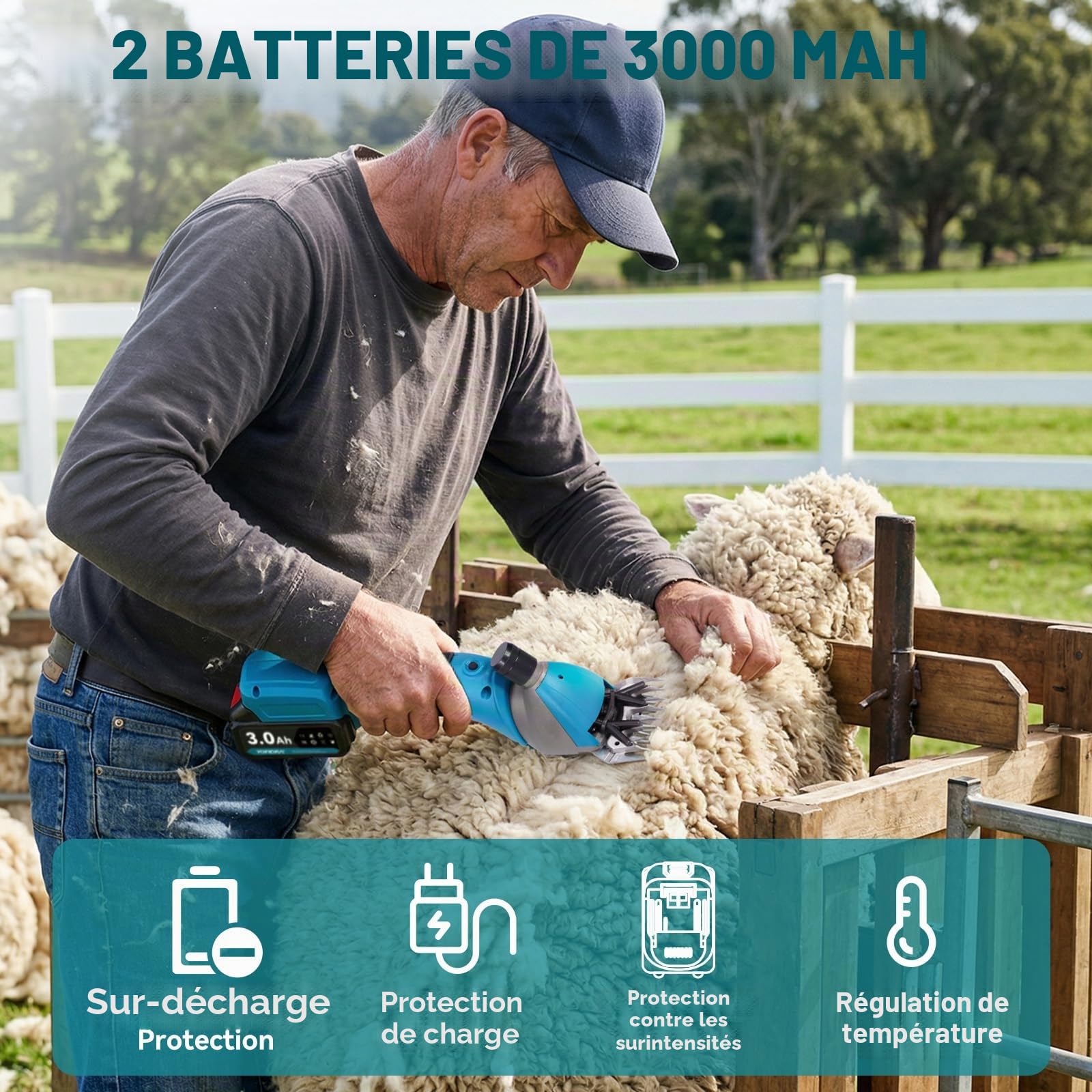 Yofidra Tondeuse à moutons sans fil 800 W - Tondeuse Mouton électrique avec moteur sans balais, 3000 tr/min, 2 batteries de 3000 mAh, griffe réglable, pour moutons, alpagas et chèvres, bleu