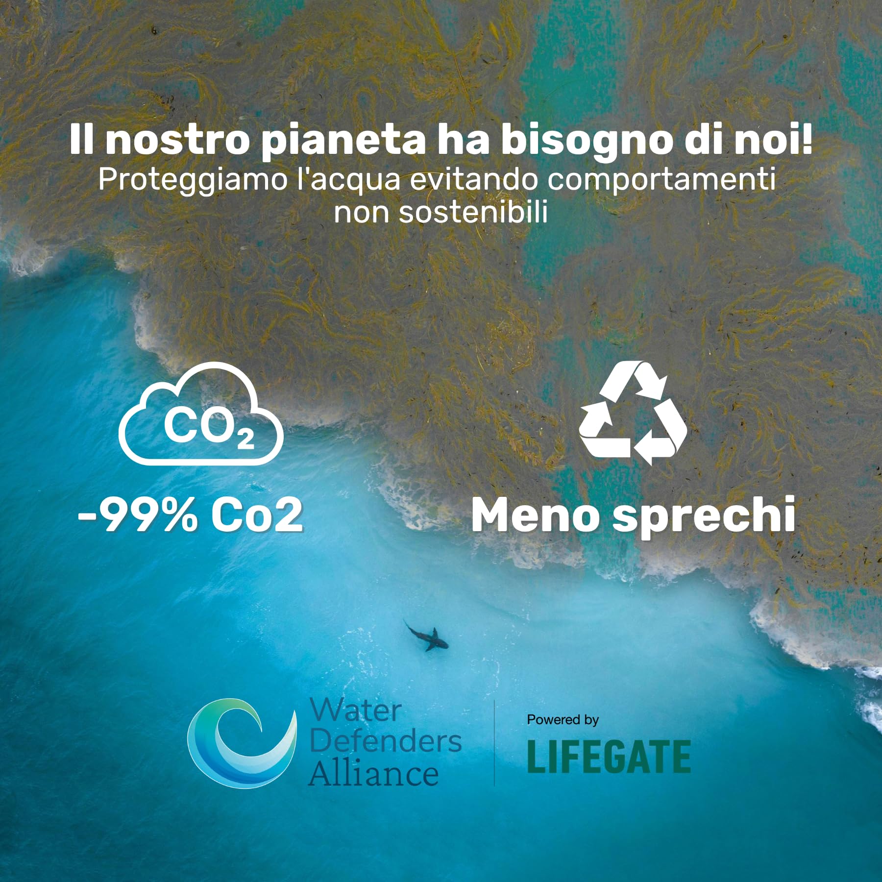 Kit da 2 Spugne Oleoassorbenti e Idrorepellenti, 33 x 48 cm H 0.5 cm, Riutilizzabili, per Pulizia di Oli e Liquidi