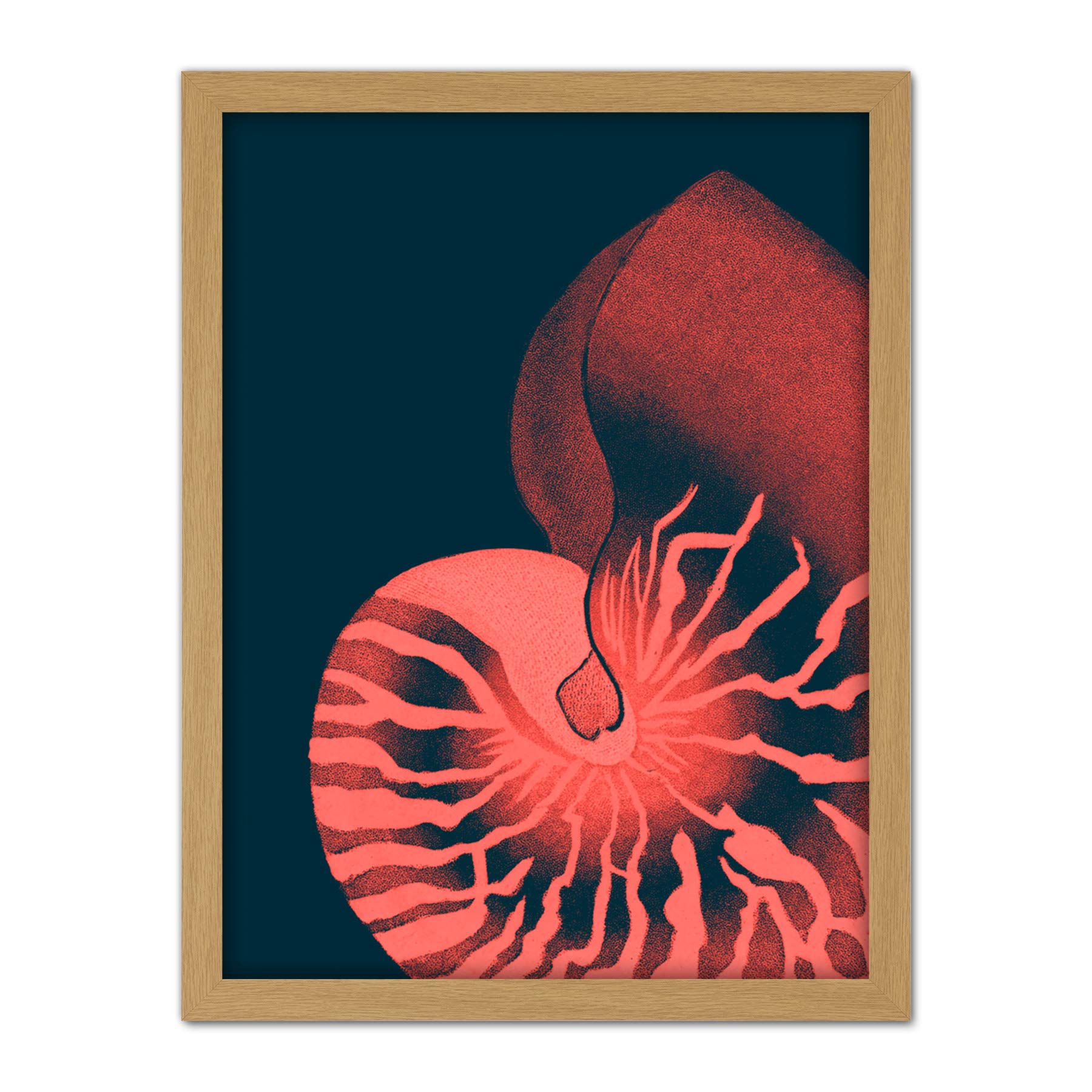 Wee Blue Coo Pink Seashell Nautilus Artwork Framed Wall Art Print 18X24 Inch
