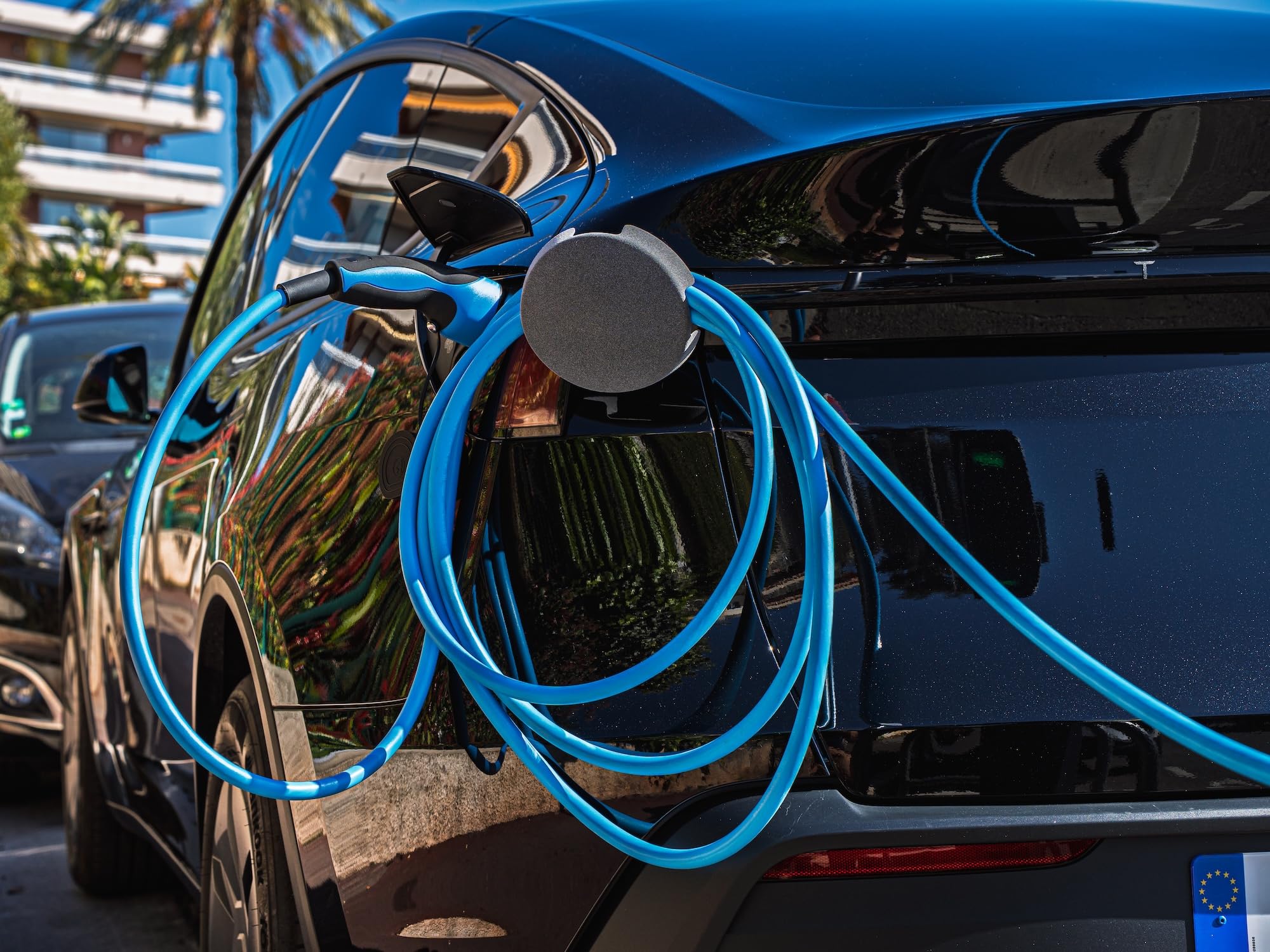 Soporte de cable de carga para coche eléctrico o híbrido | Protege y eleva el cable | Evita la suciedad y el desgaste | Compatible con todos los vehículos eléctricos o híbridos (Negro)