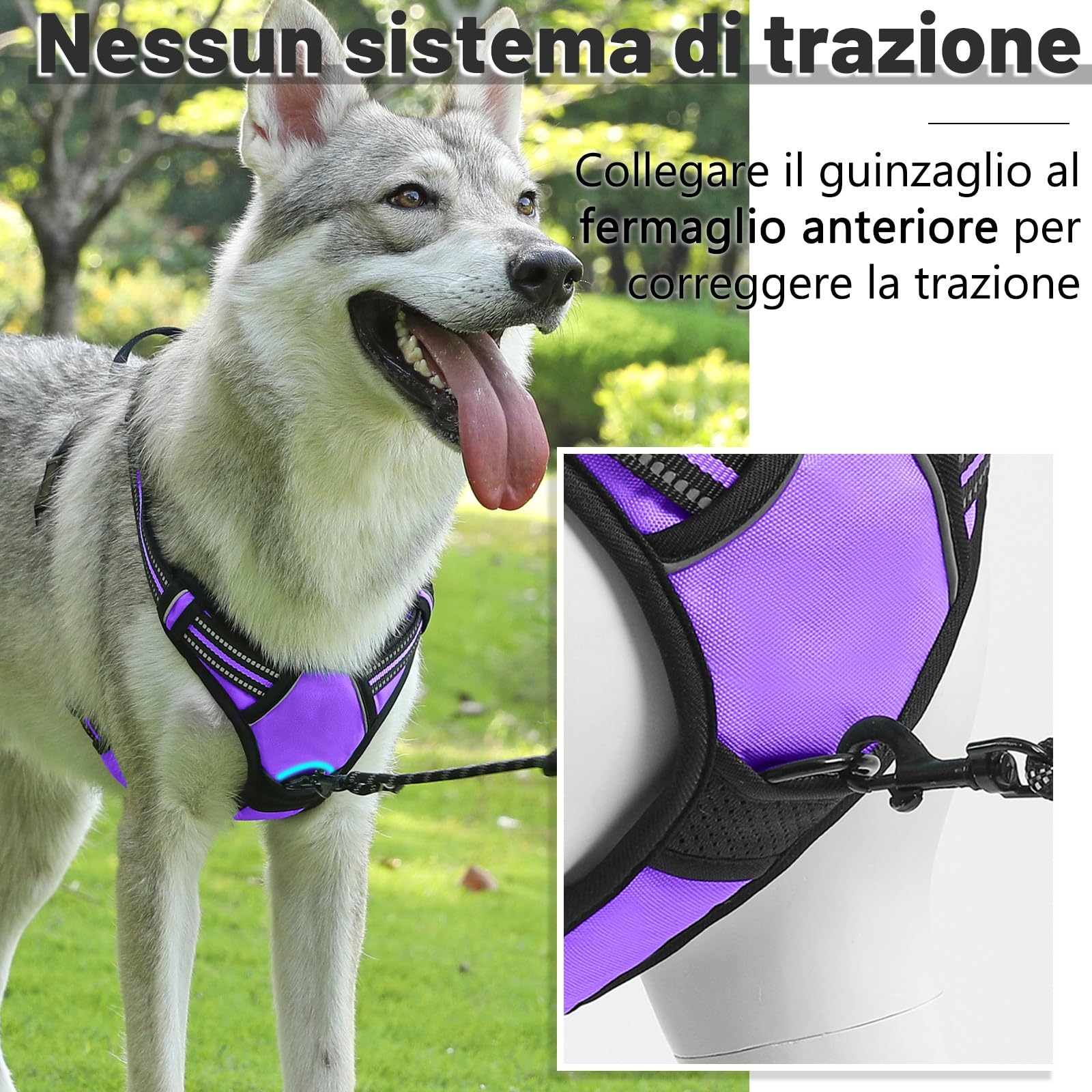 COMSLE Pettorina Cane Taglia Grande Media Piccola, Pettorina per Cani Anti Tiro Riflettente, Imbracatura Regolabile Cani con 2 Ganci in Metallo per Addestramento Corsa (Viola, L)