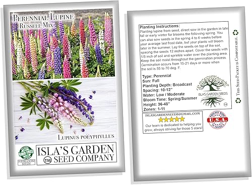Miniatura 5 de Russell Mix - Semillas de flores de altramuz (Lupinus perennis) – Más de 150 semillas sin OMG y reliquias de Isla's Garden Seeds, flores perennes