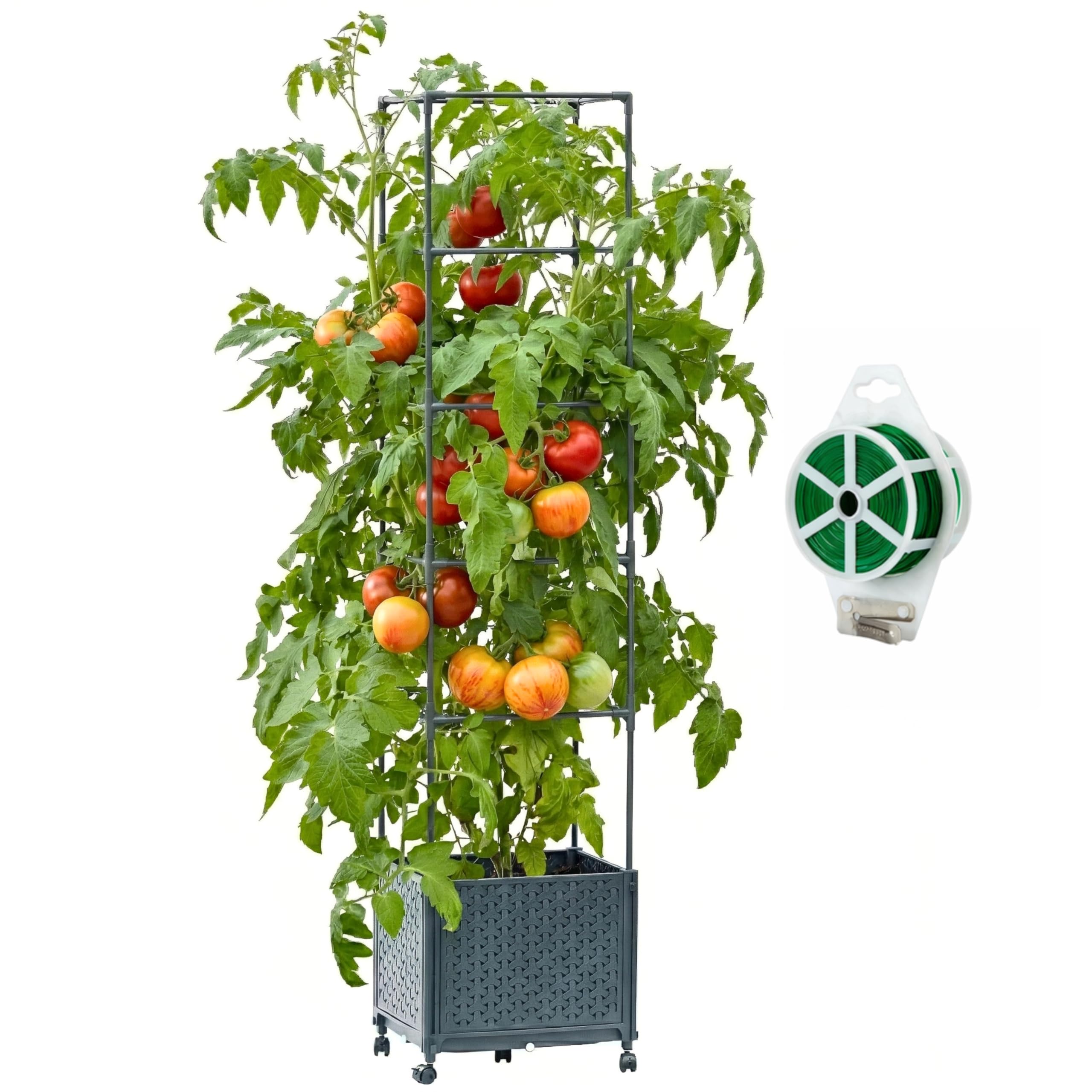 KOBAZ Raised Garden Bed Tomato Planter