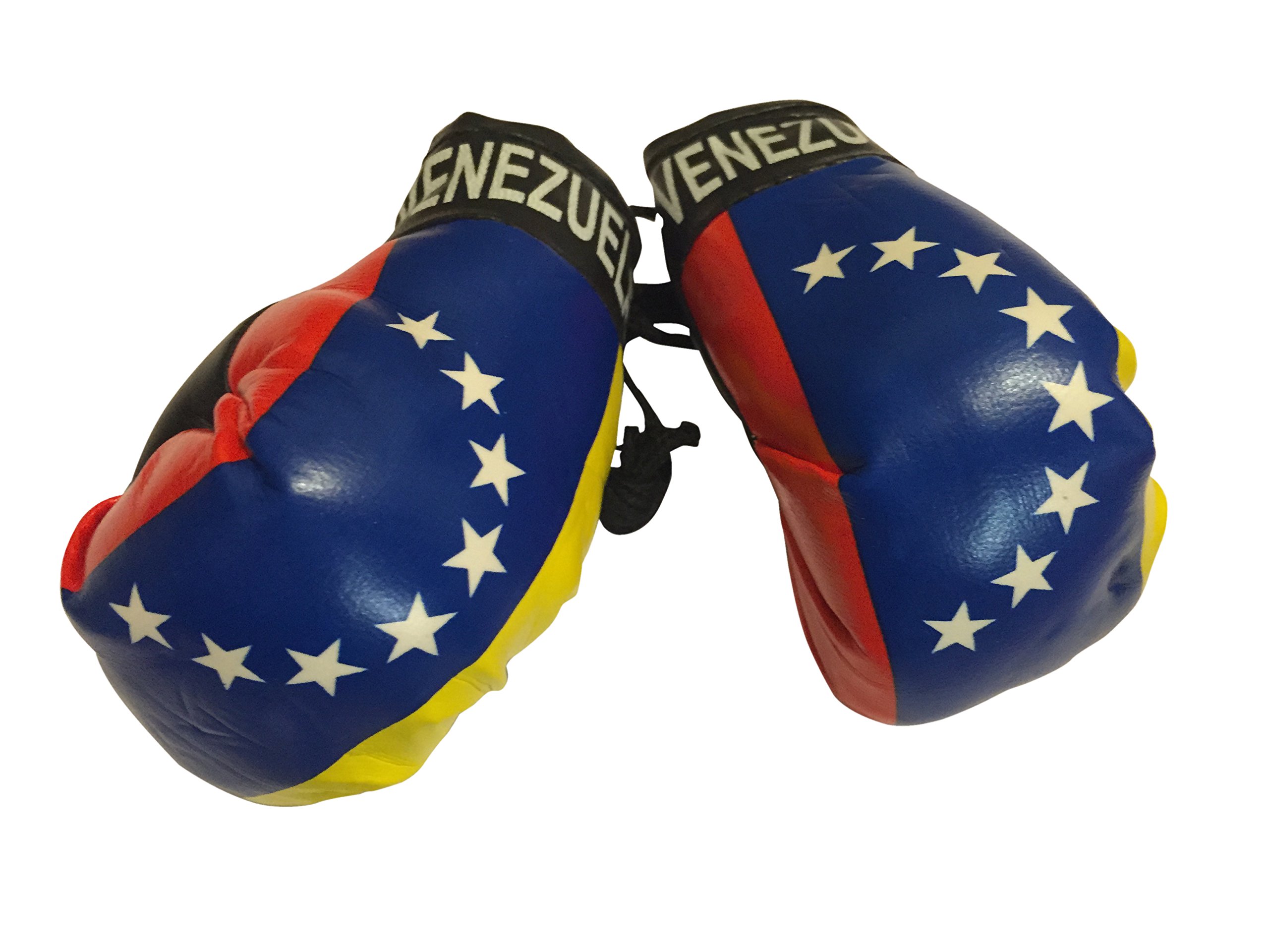 Flag Mini Small Boxing Gloves to Hang Over Car Automobile Mirror โ Americas