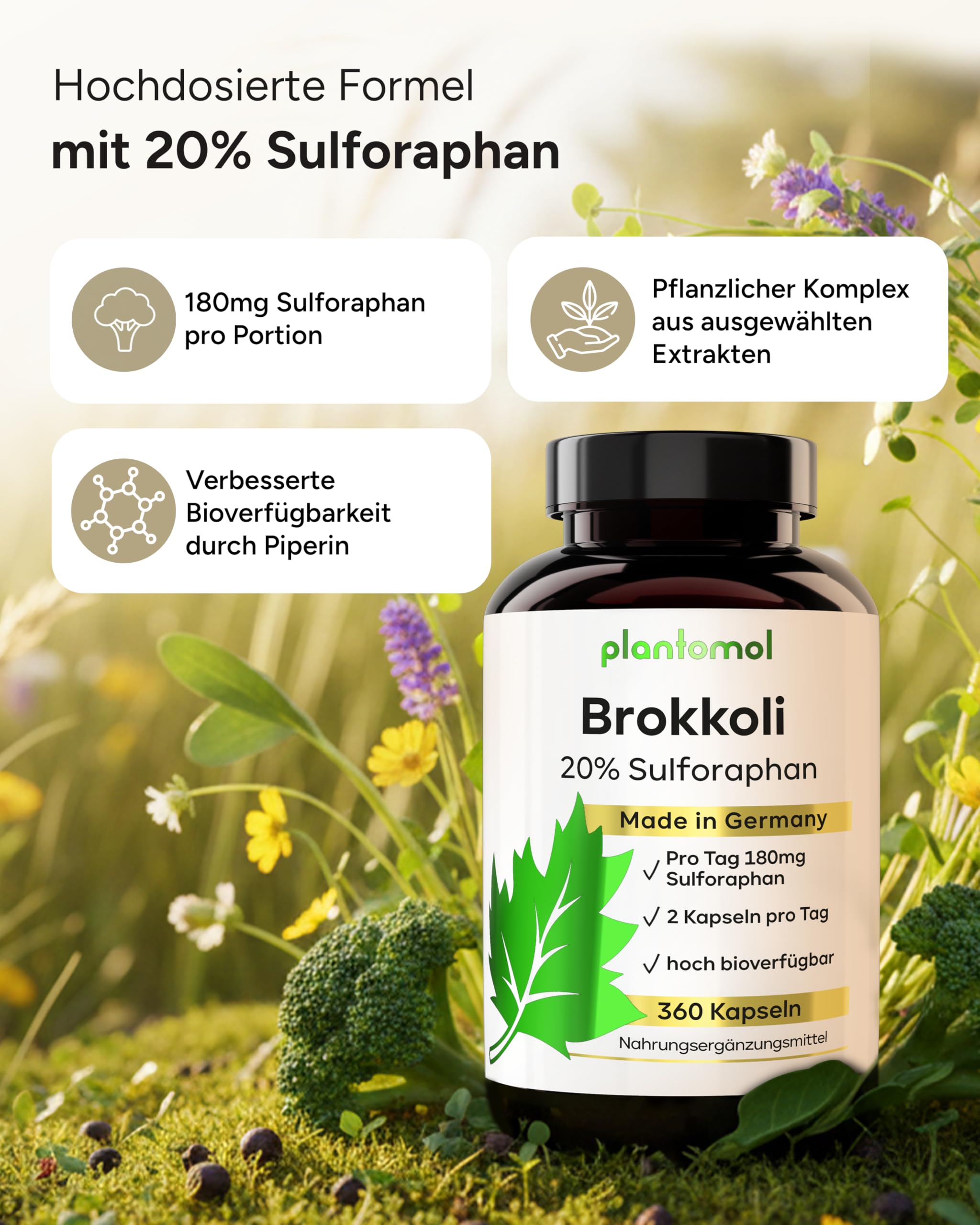 90mg Sulforaphan! 360 Sulforaphan Kapseln hochdosiert aus Brokkoli-Extrakt - Brokkoli Kapseln hochdosiert aus Brokkolisprossen - 6 Monatsvorrat