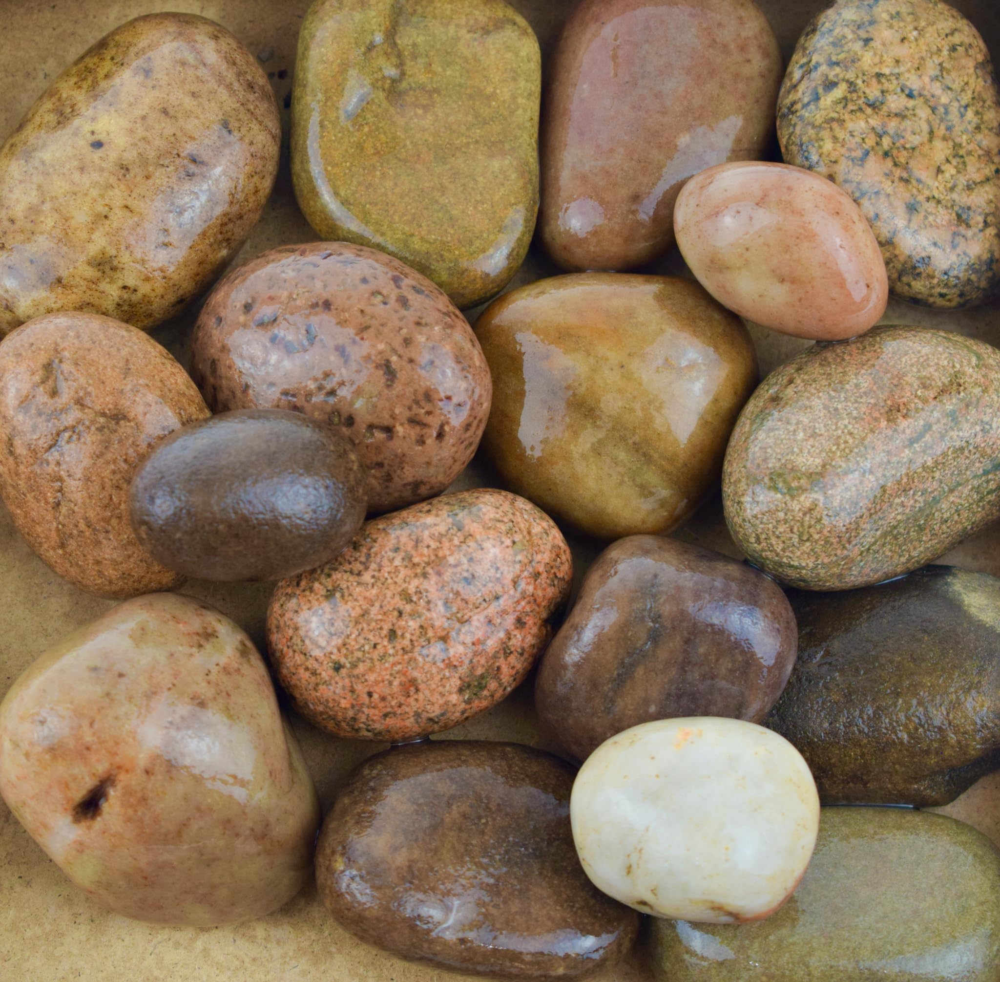 Scottish Pebbles 30-50mm | Scottish | Decorative Aggregate, Garden Stones, Chippings, Driveway Surface (1, 20kg)