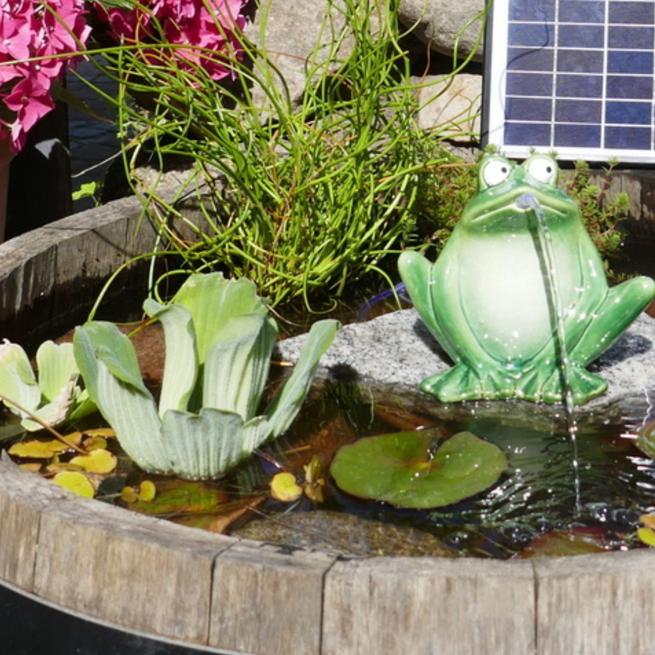 Gartenzaubereien Purgeur d'eau Grenouille Vert foncé céramique Pompe Solaire