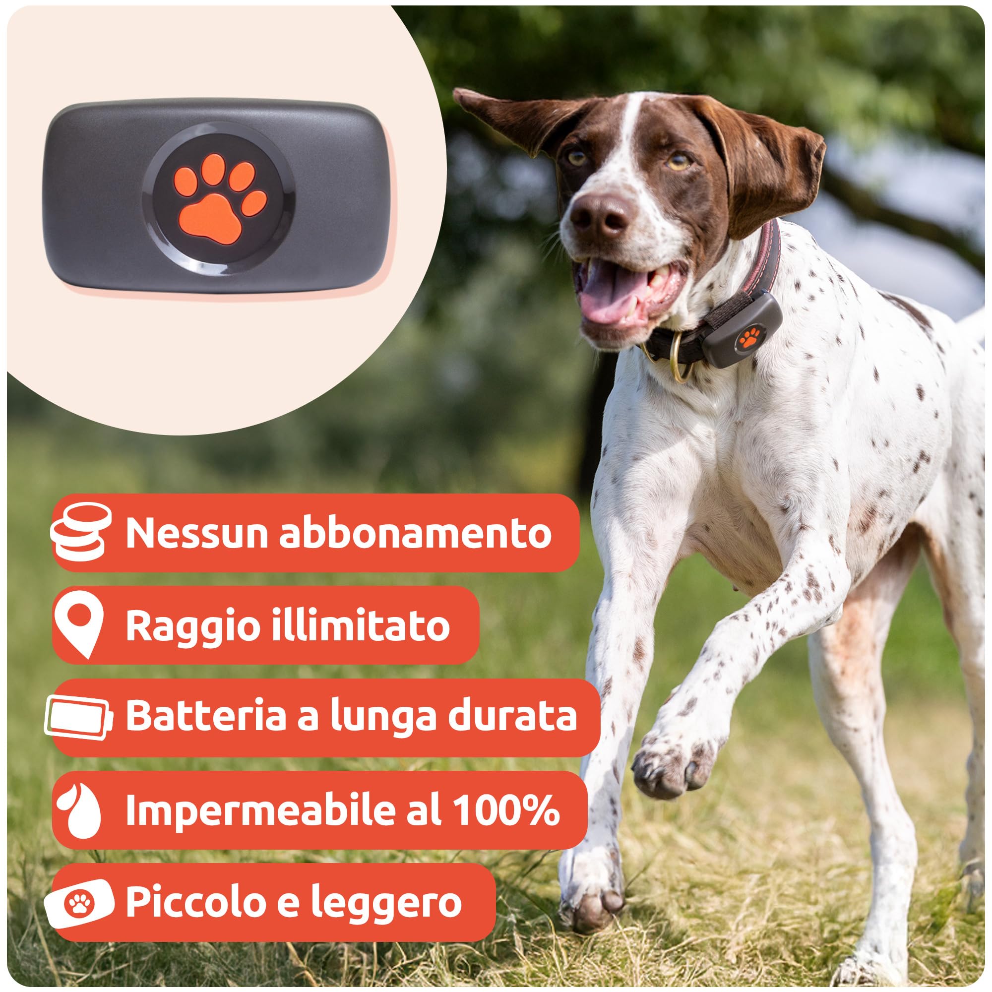 PitPat Localizzatore GPS per cani senza abbonamento, Rosso